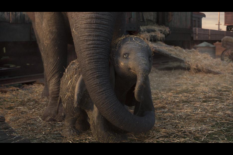 'Dumbo' is available for rent or purchase on Amazon Prime Video this month. 