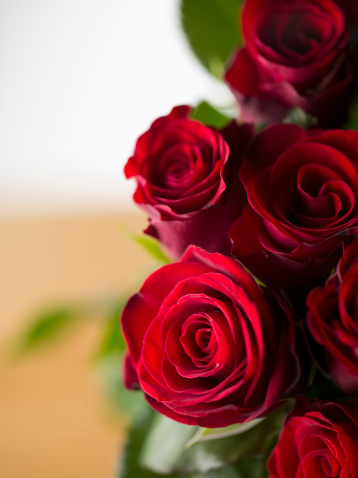red-rose-bouquet