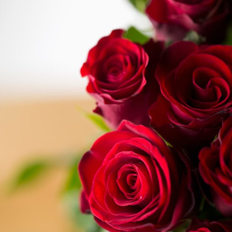 red-rose-bouquet