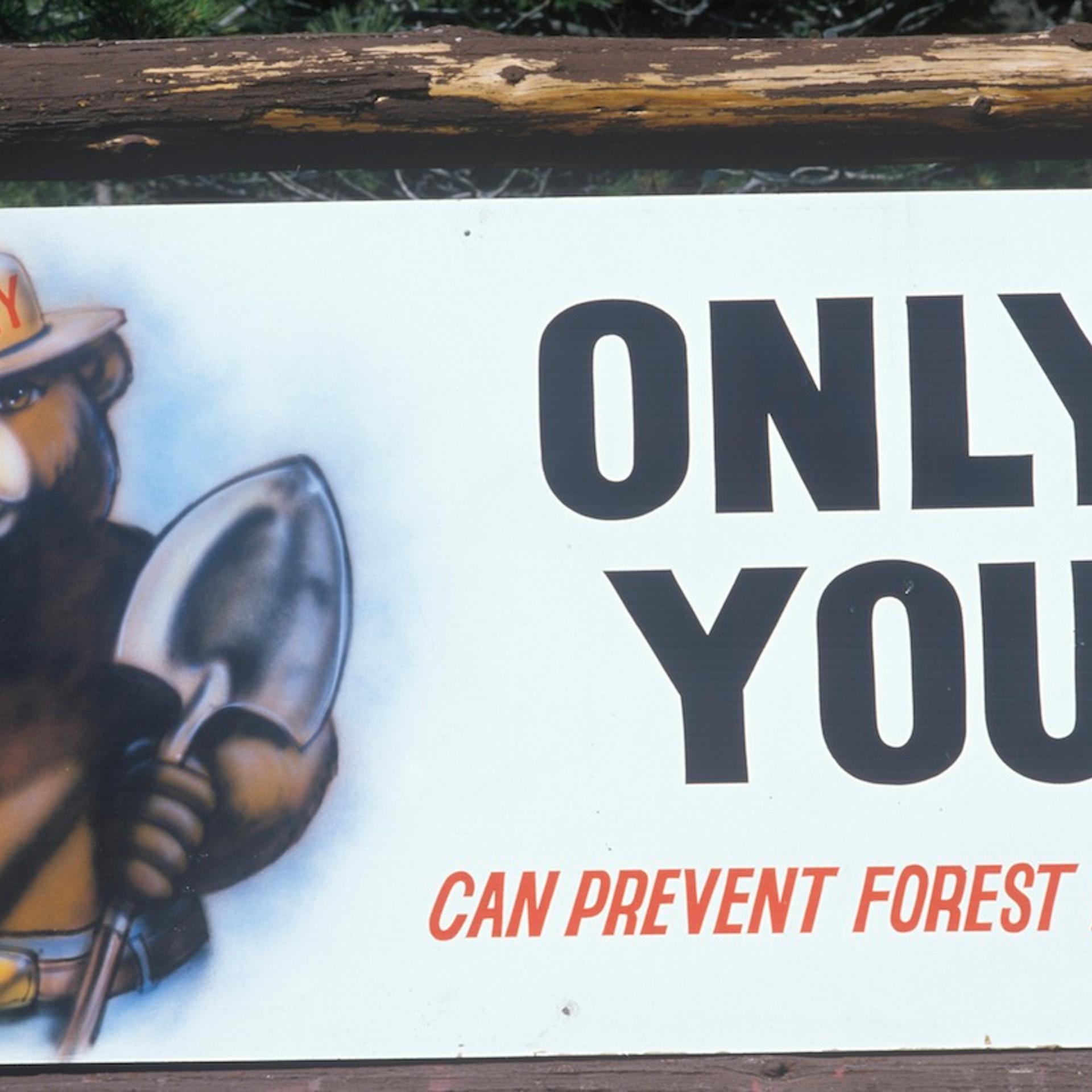 Smokey Bear Sign