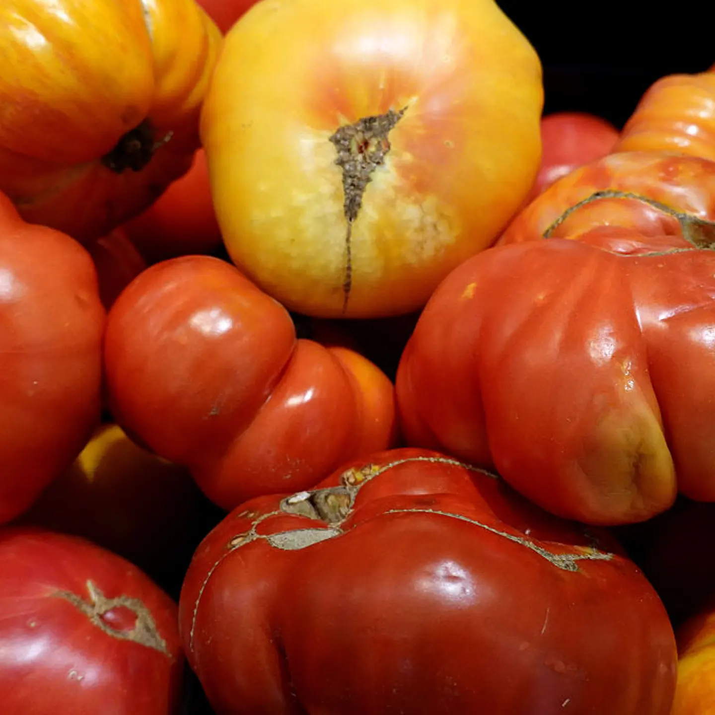 Price Of Tomatoes Expected To Rise As Increased Tariffs On Mexico Set To Begin