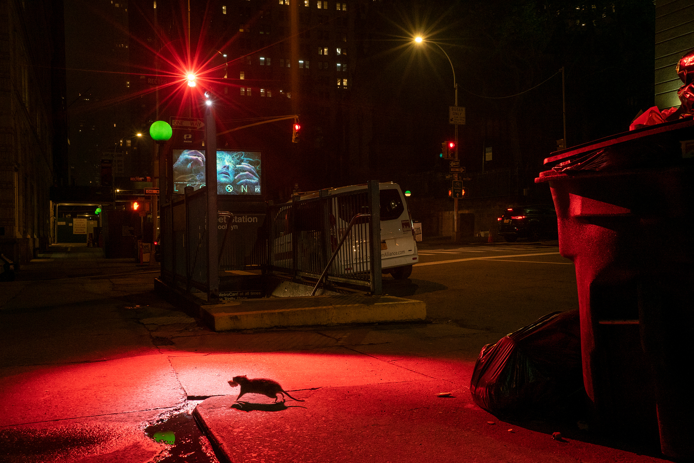 Rats on the sidewalk on West Broadway, New York City, in 2018.
