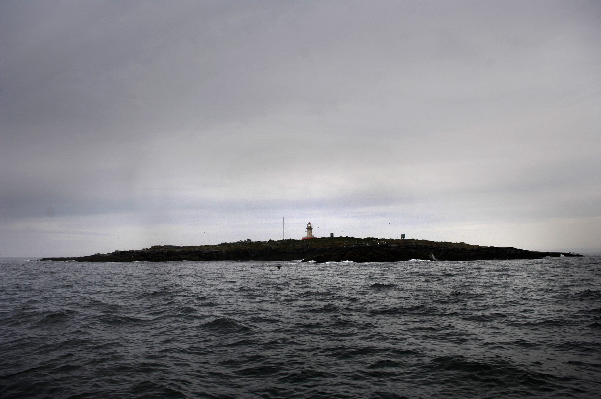 Ownership of Machias Seal Island is in dispute. Both the US and Canada claim it as their own. The Ca