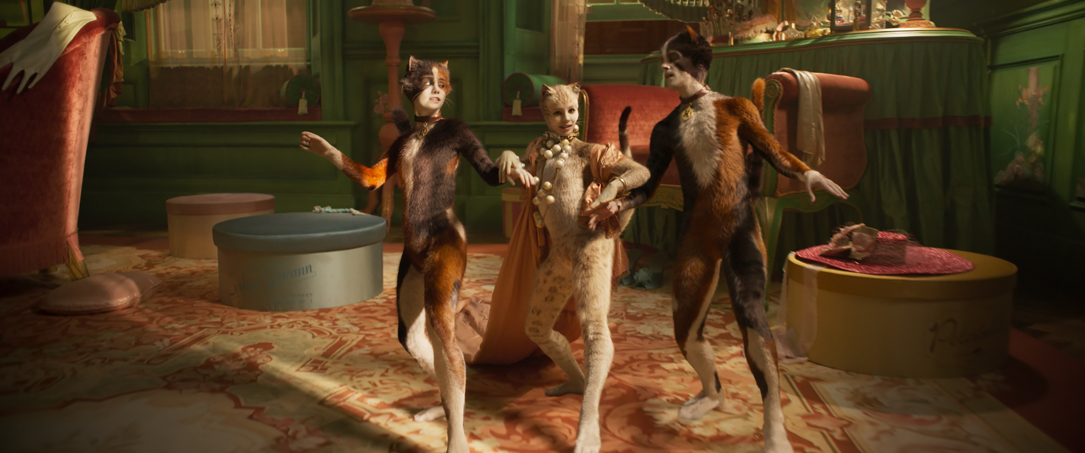 CATS