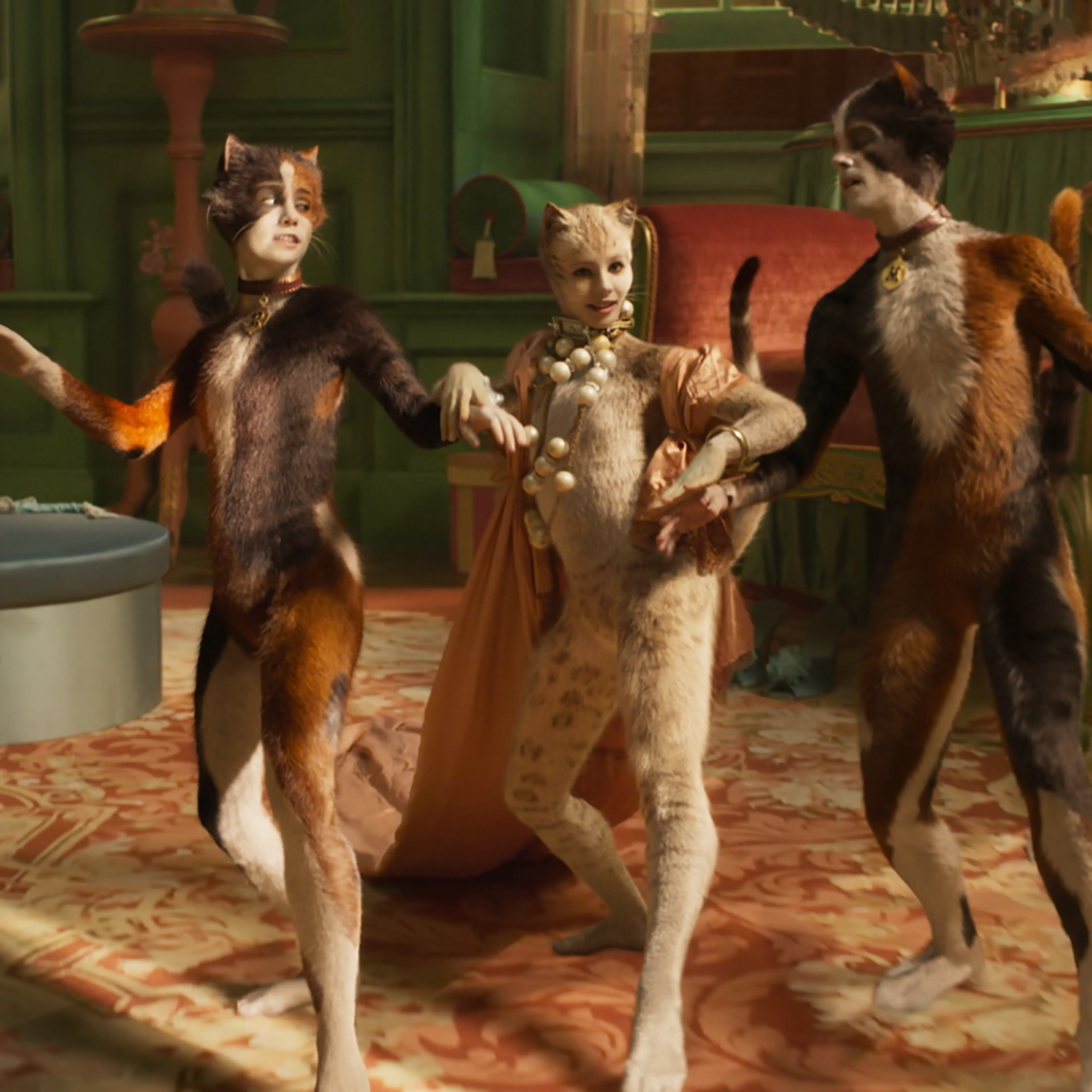 CATS