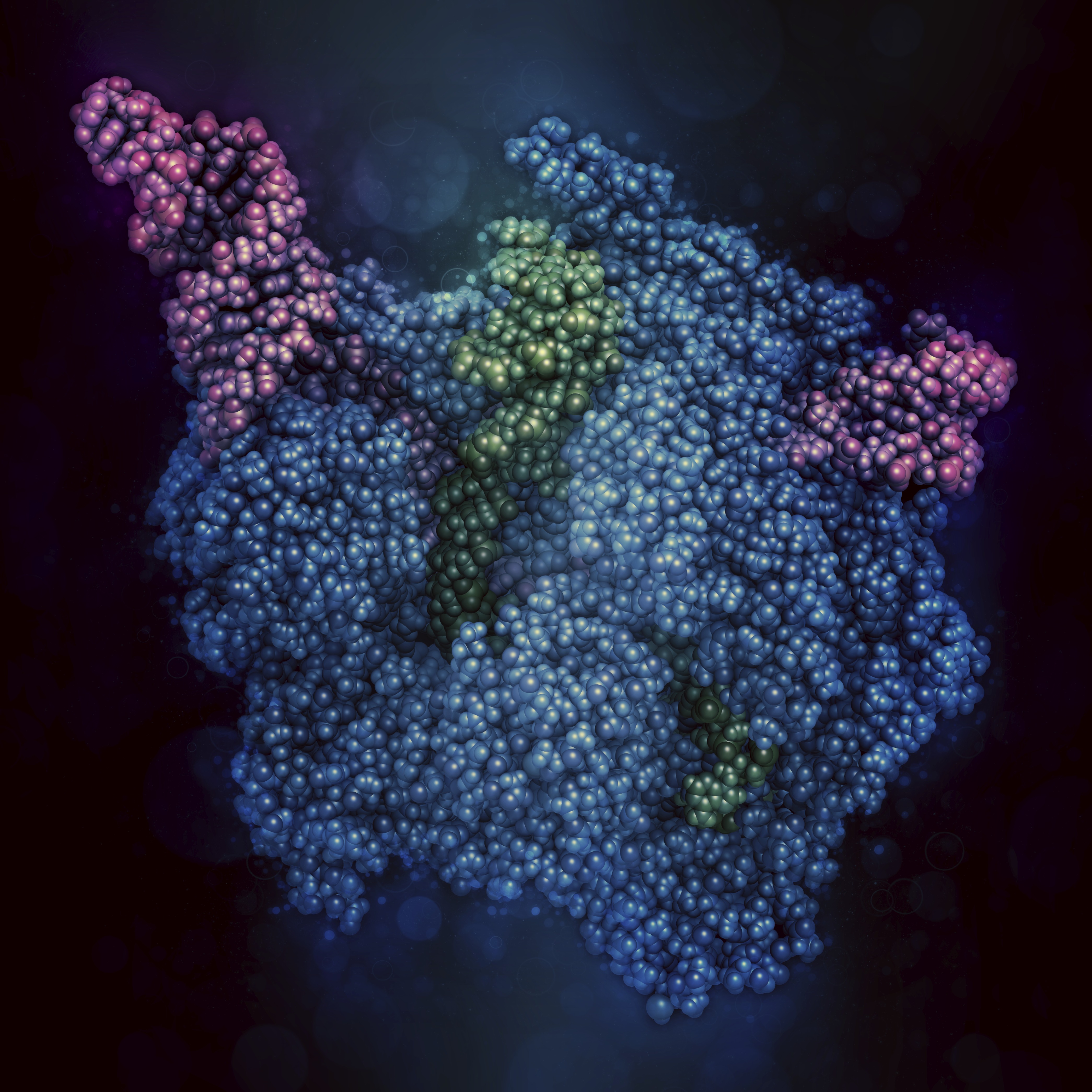 CRISPR-CAS9 gene editing complex