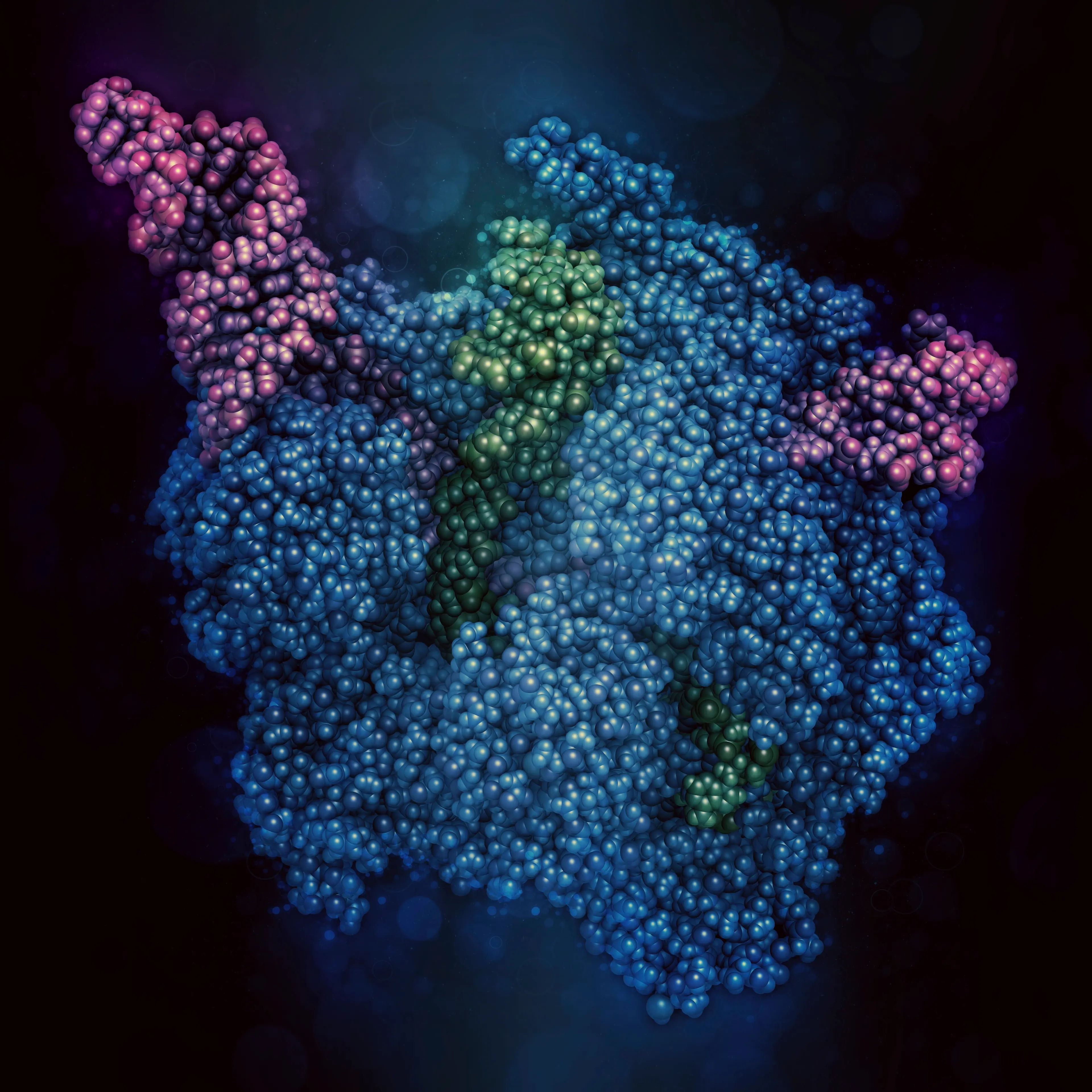 CRISPR-CAS9 gene editing complex