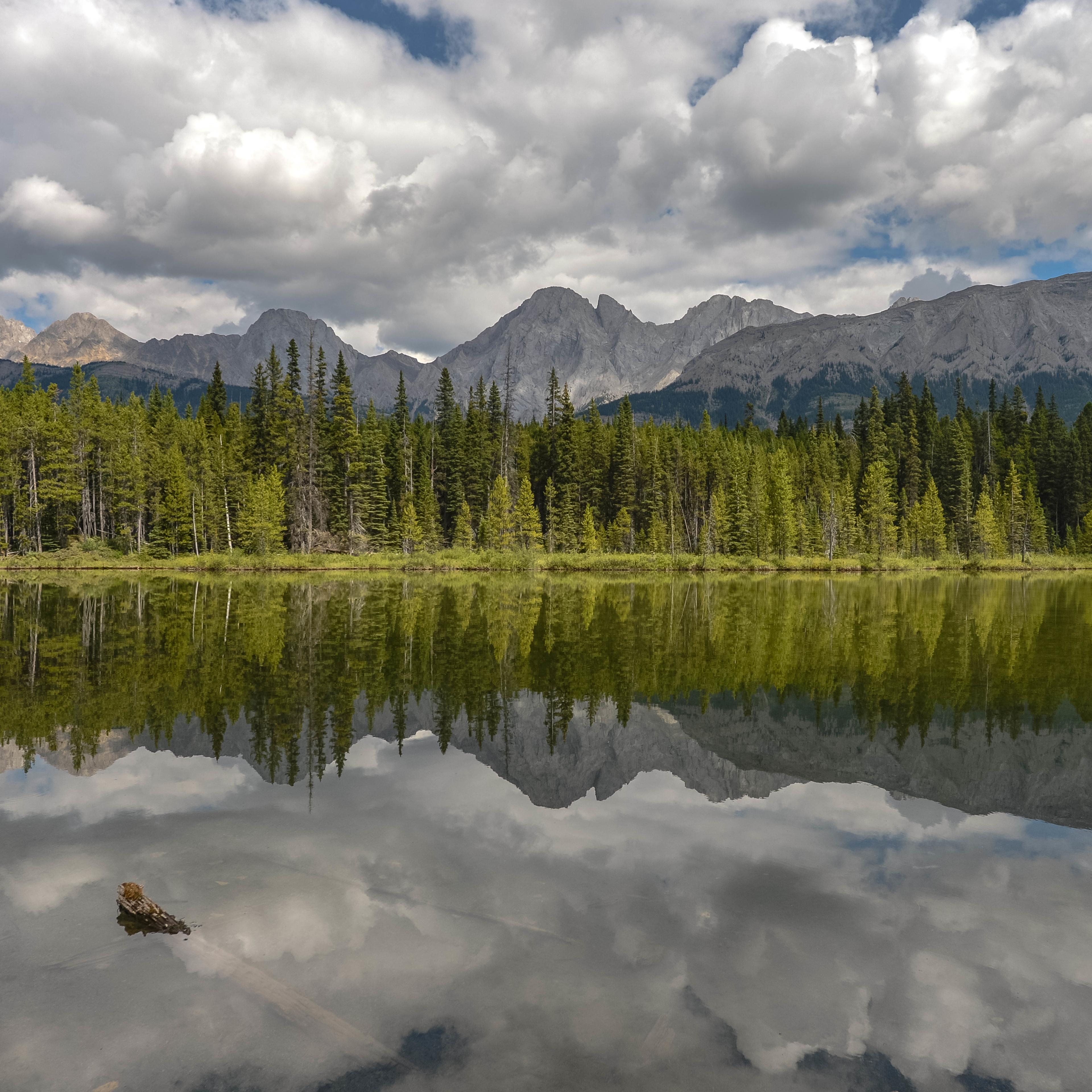 The Canadian Rockies West of the Calgary Area