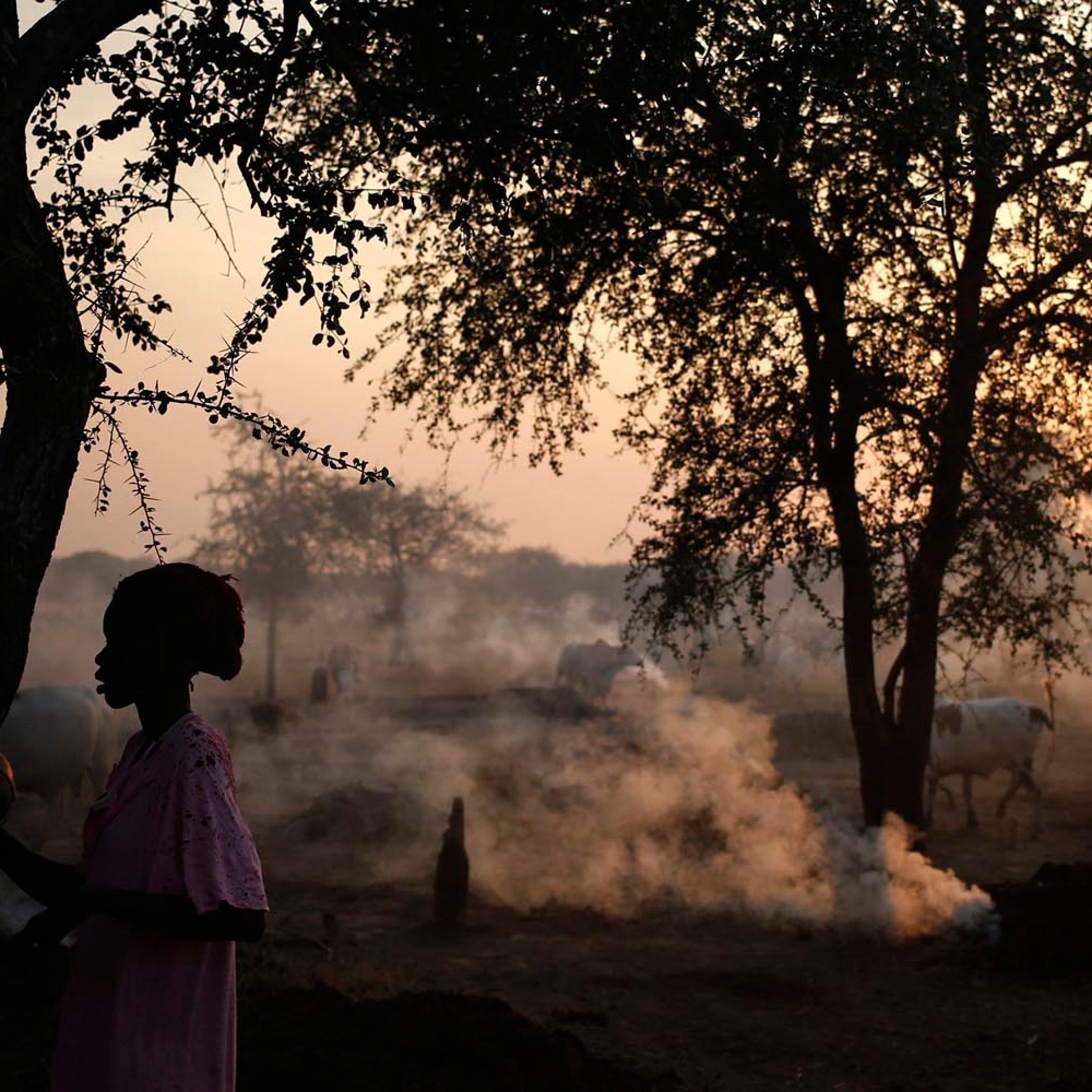 A woman from the Dinka Ngok cattle-herding tribe stands in a cattle camp, near Abyei