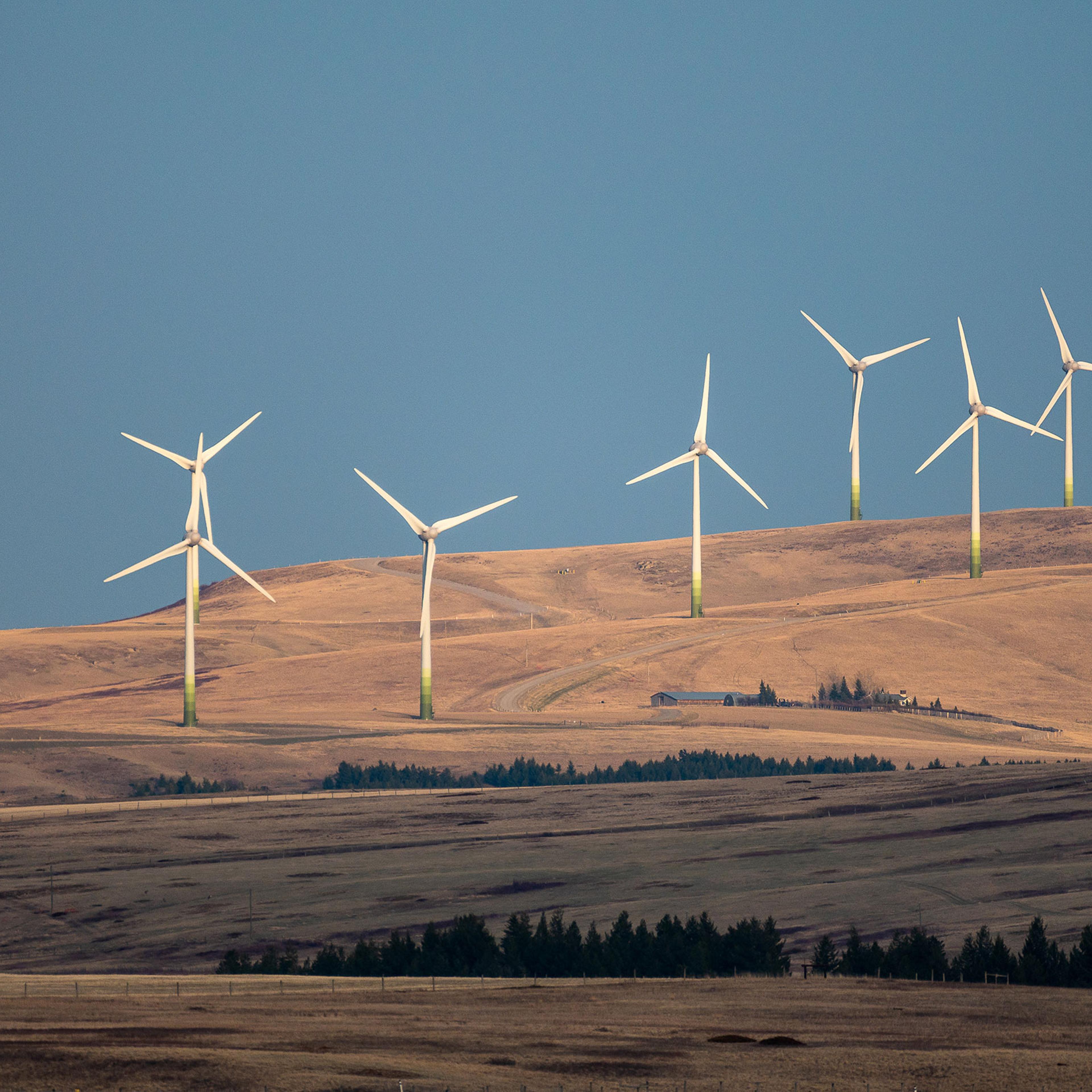 A wind farm near Cowley, Alberta, Canada, in 2022.
