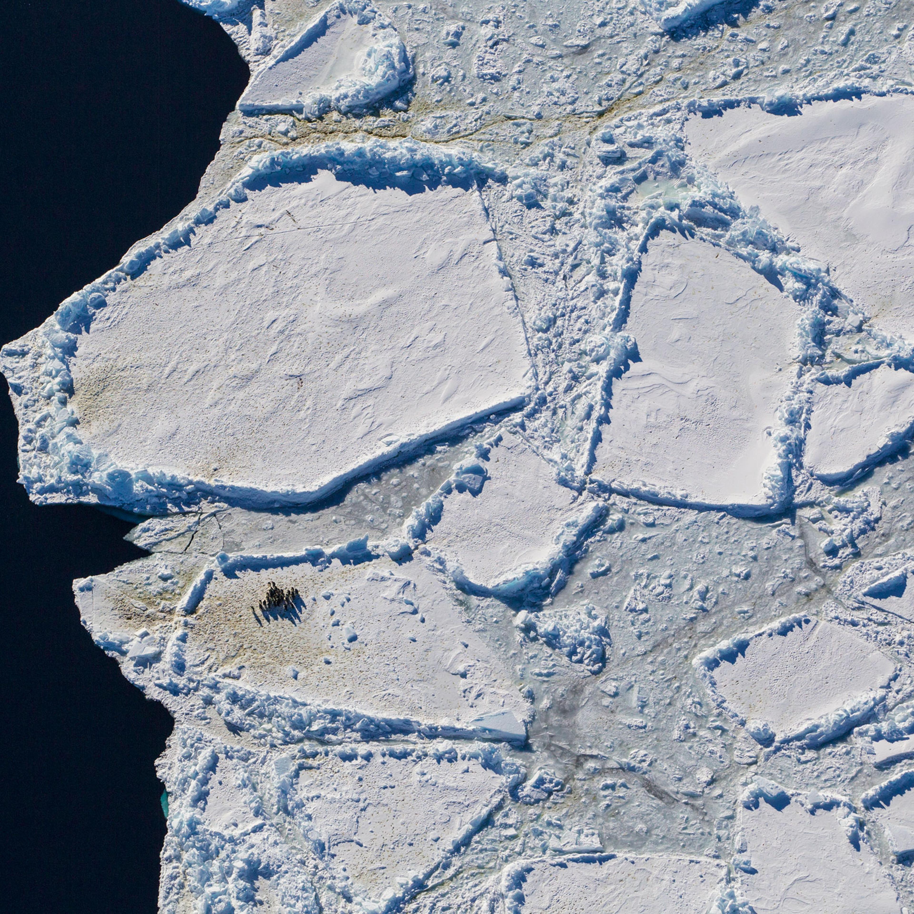 Antarctica