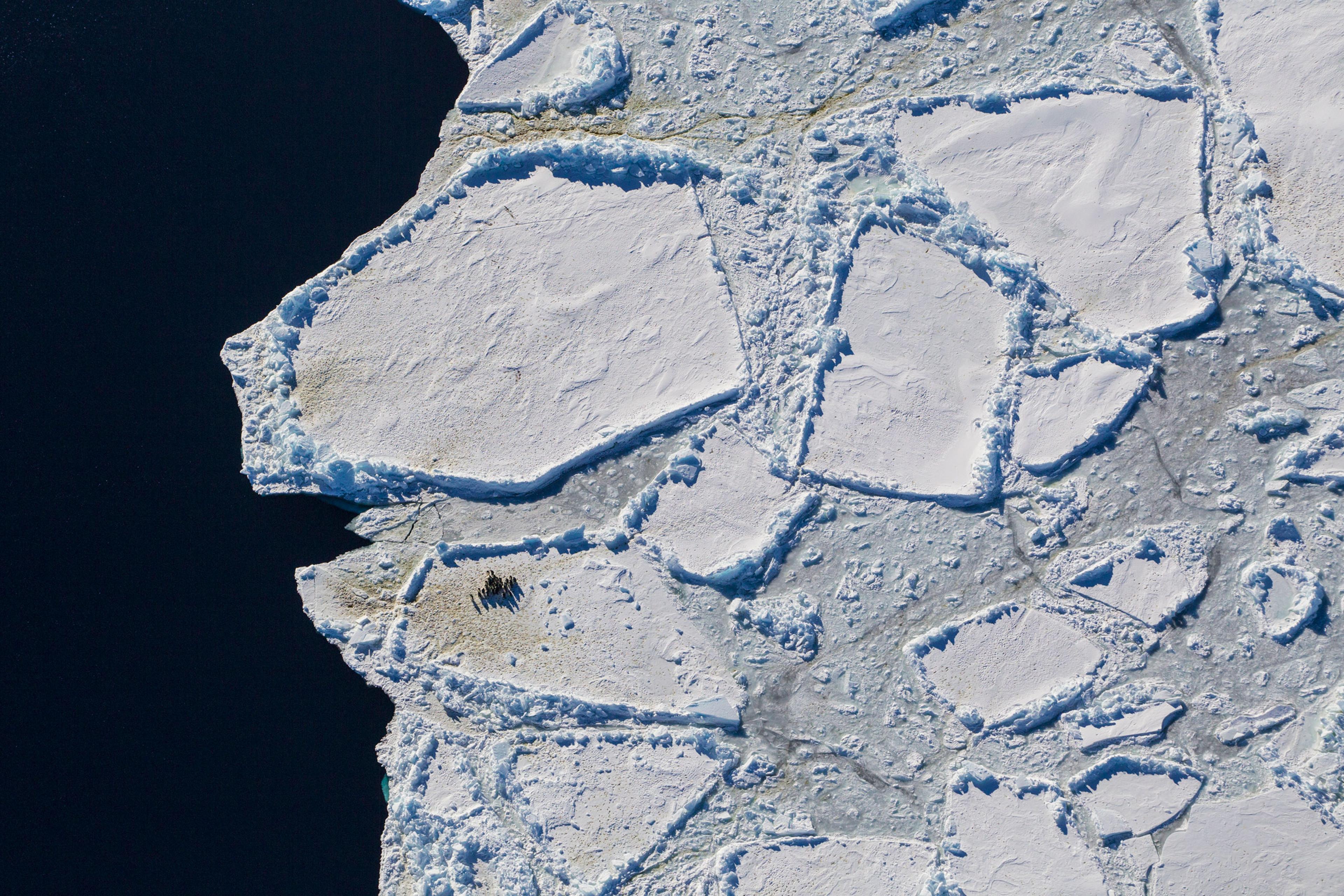 Antarctica
