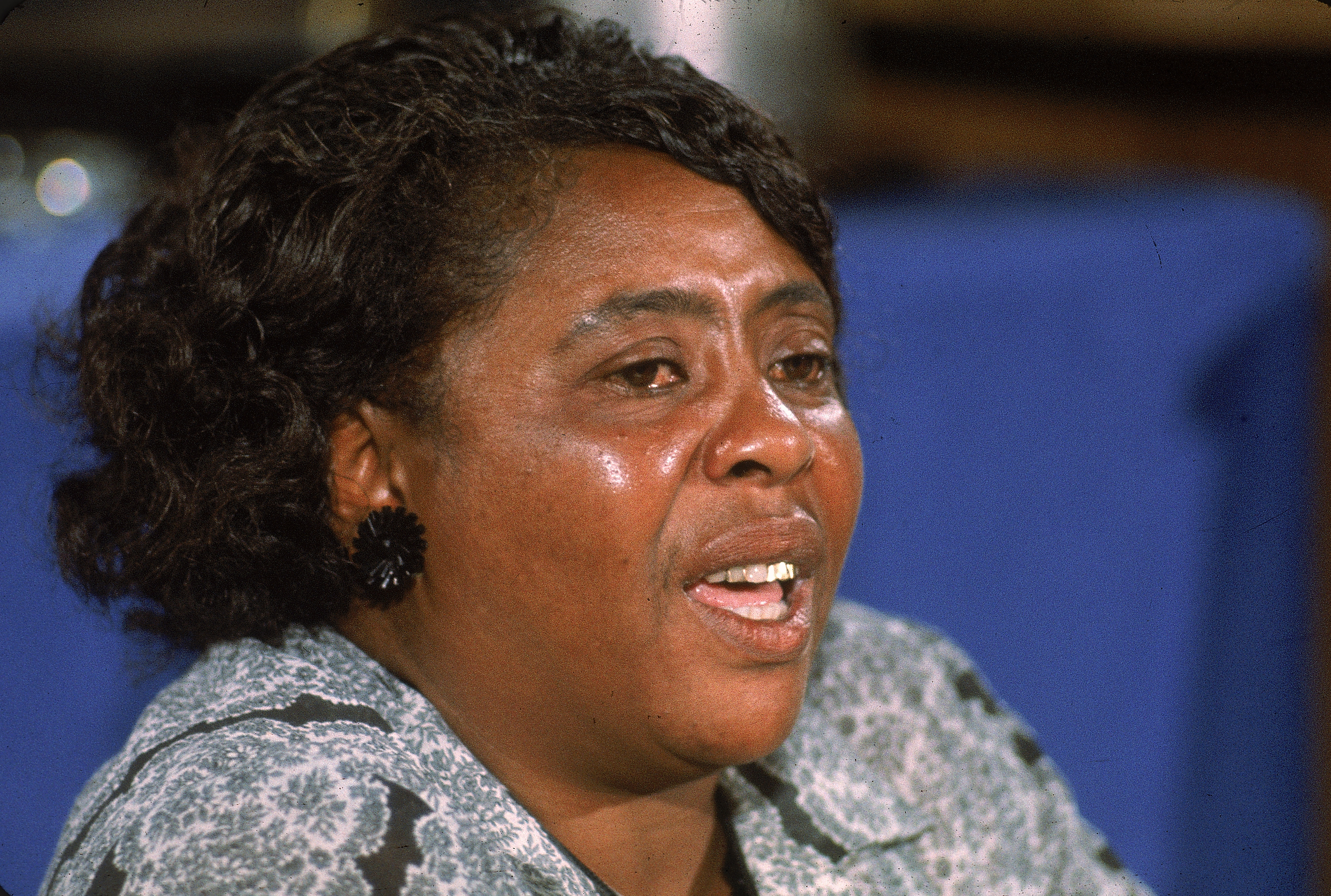 Fannie Lou Hamer At 1964 DNC