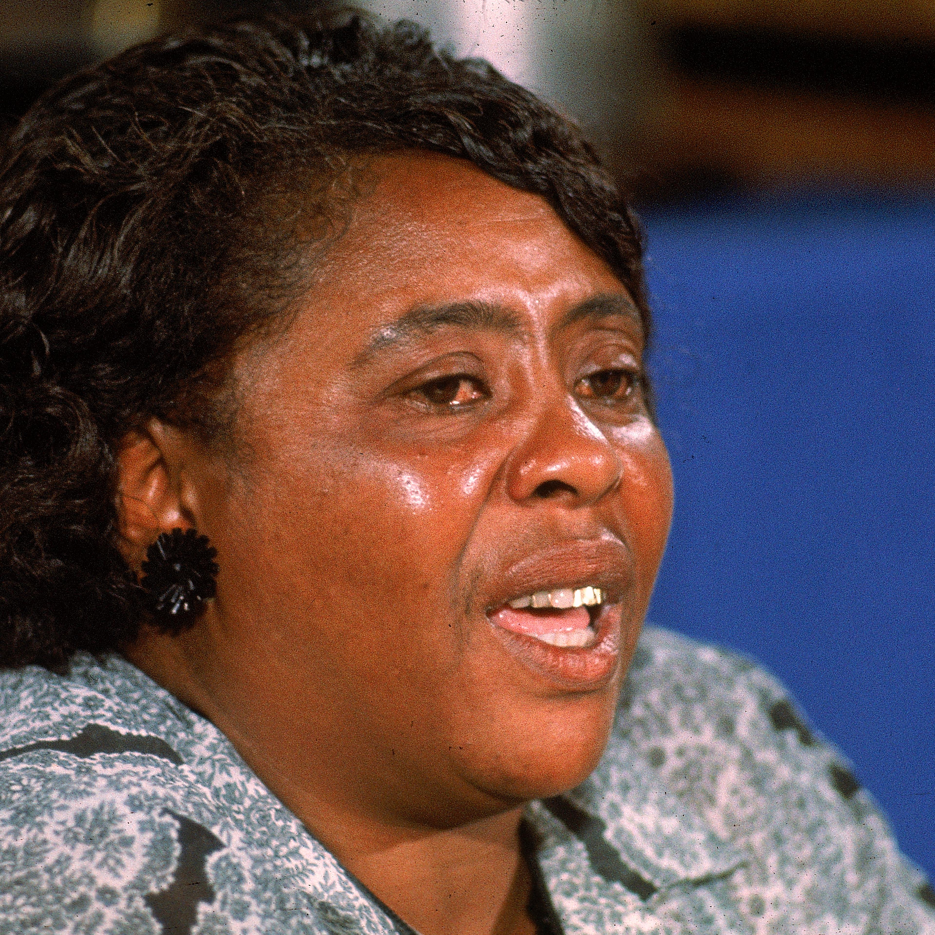Fannie Lou Hamer At 1964 DNC