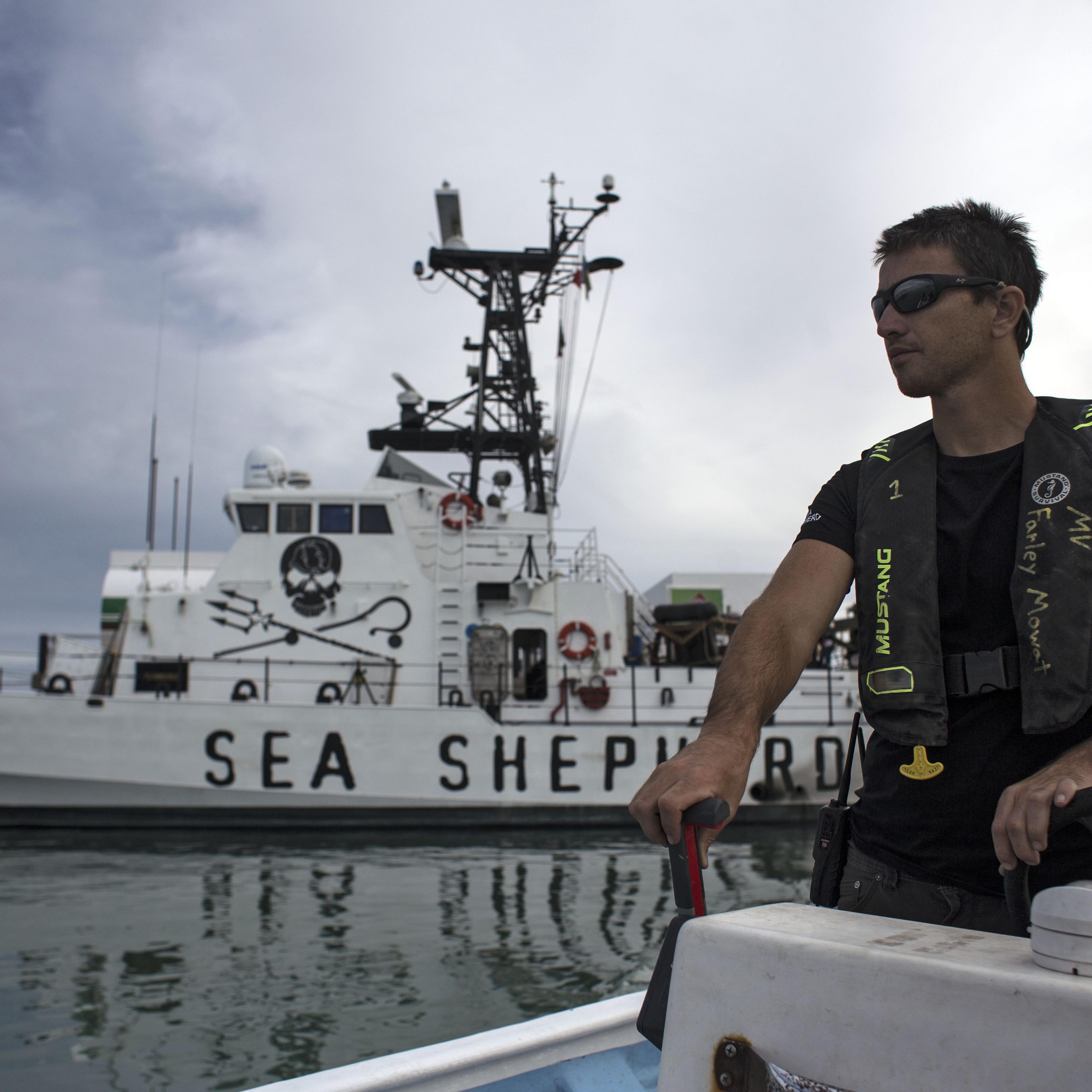 MEXICO-CONSERVATION-VAQUITA-SEA SHEPHERD
