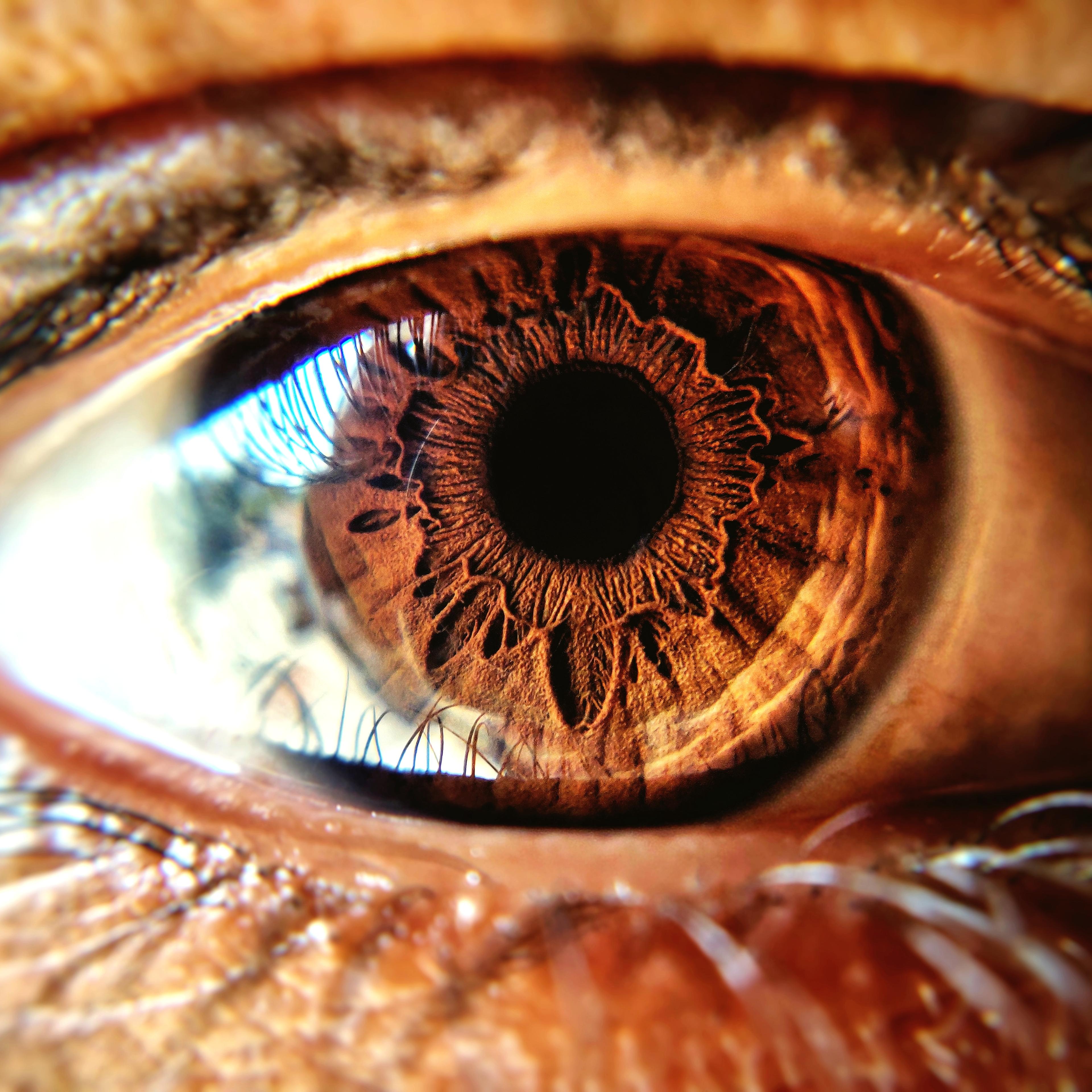 Extreme Close-Up Of Human Eye