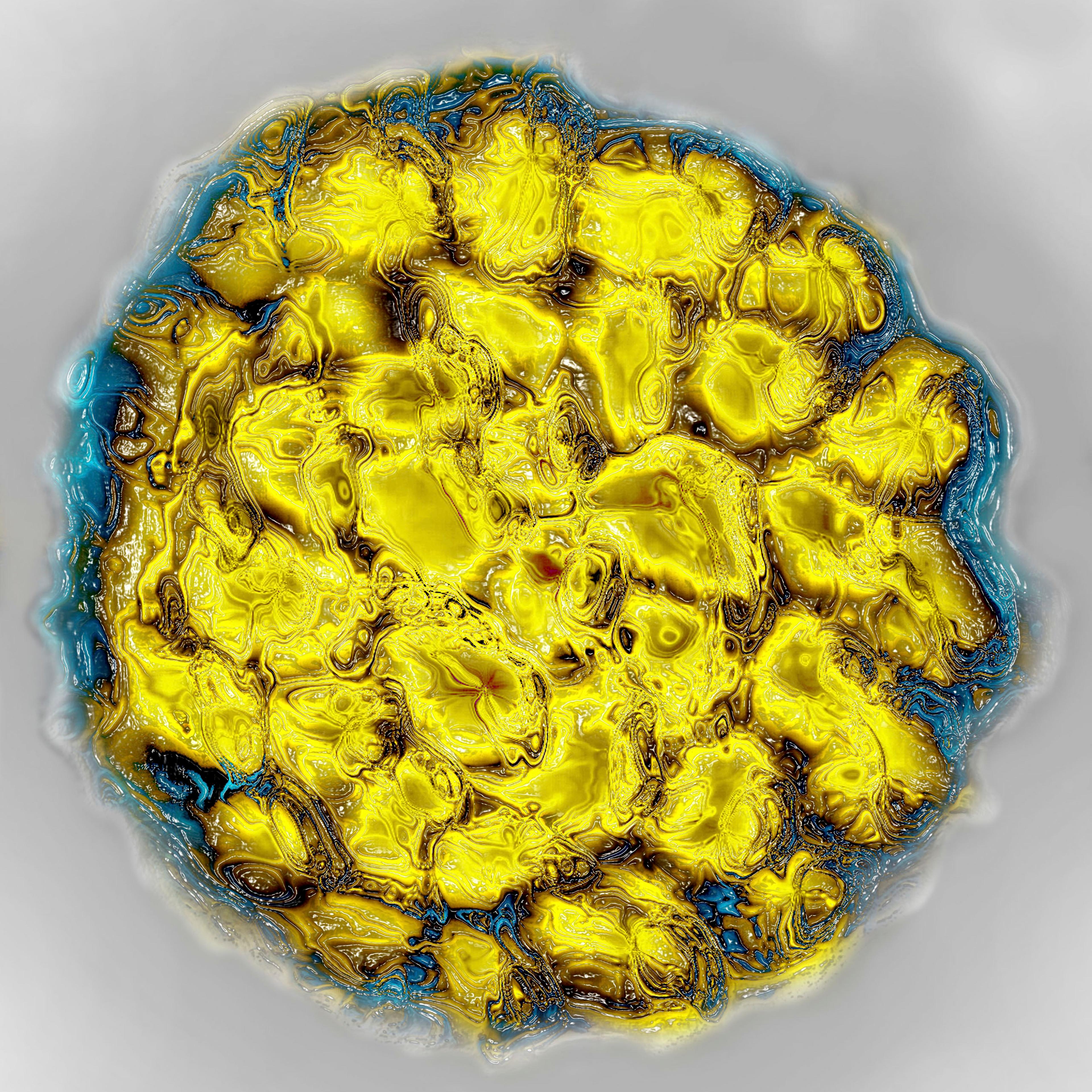 Papillomavirus Dna Virus. Hdri Image Made According To A View Under Transmission Electron Microscope, Viral Diameter 45 To 55 Nm.