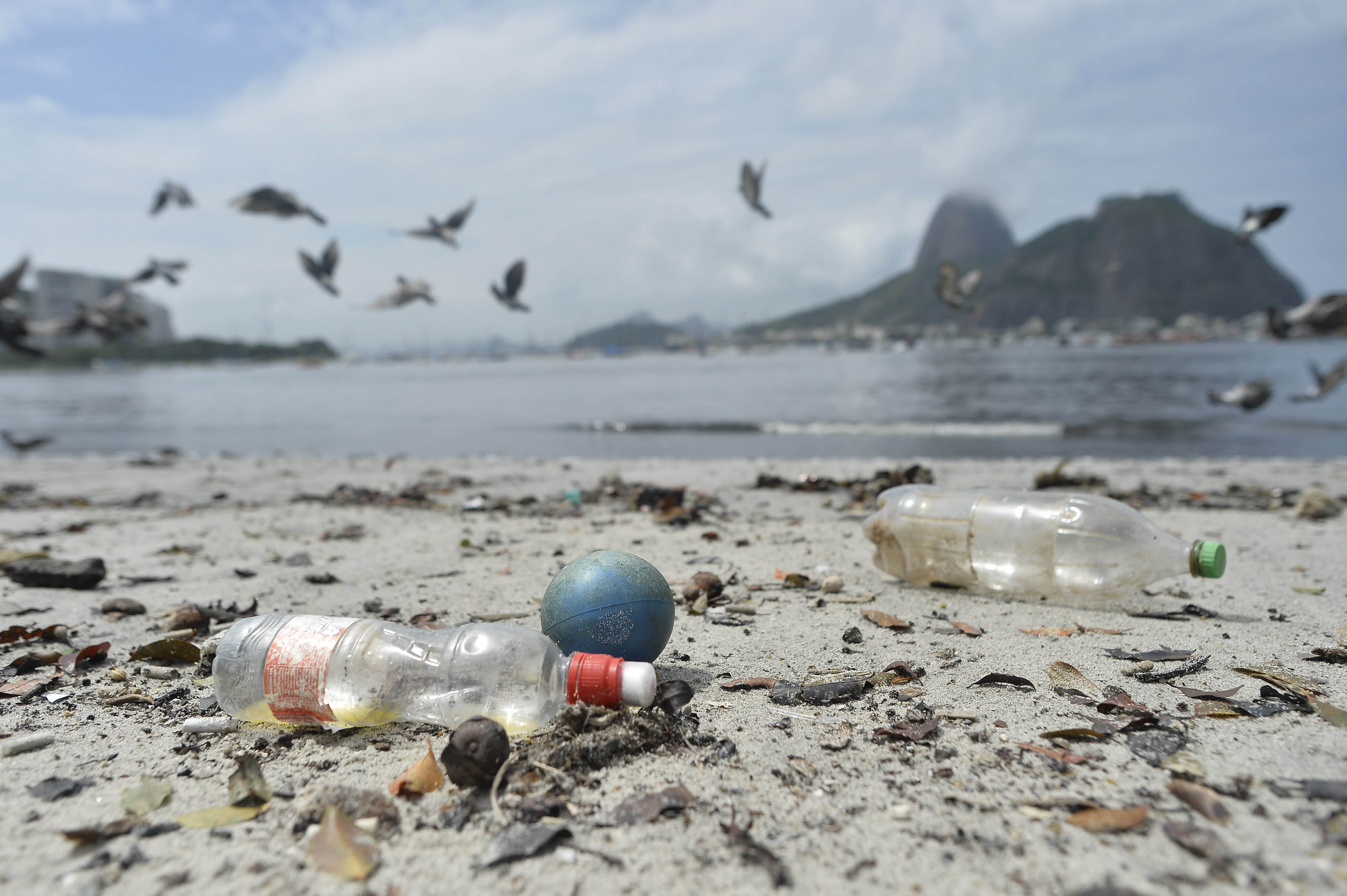 Large amount of accumulated garbage, concentrated on Botafogo beach on the south side of Rio de Janeiro