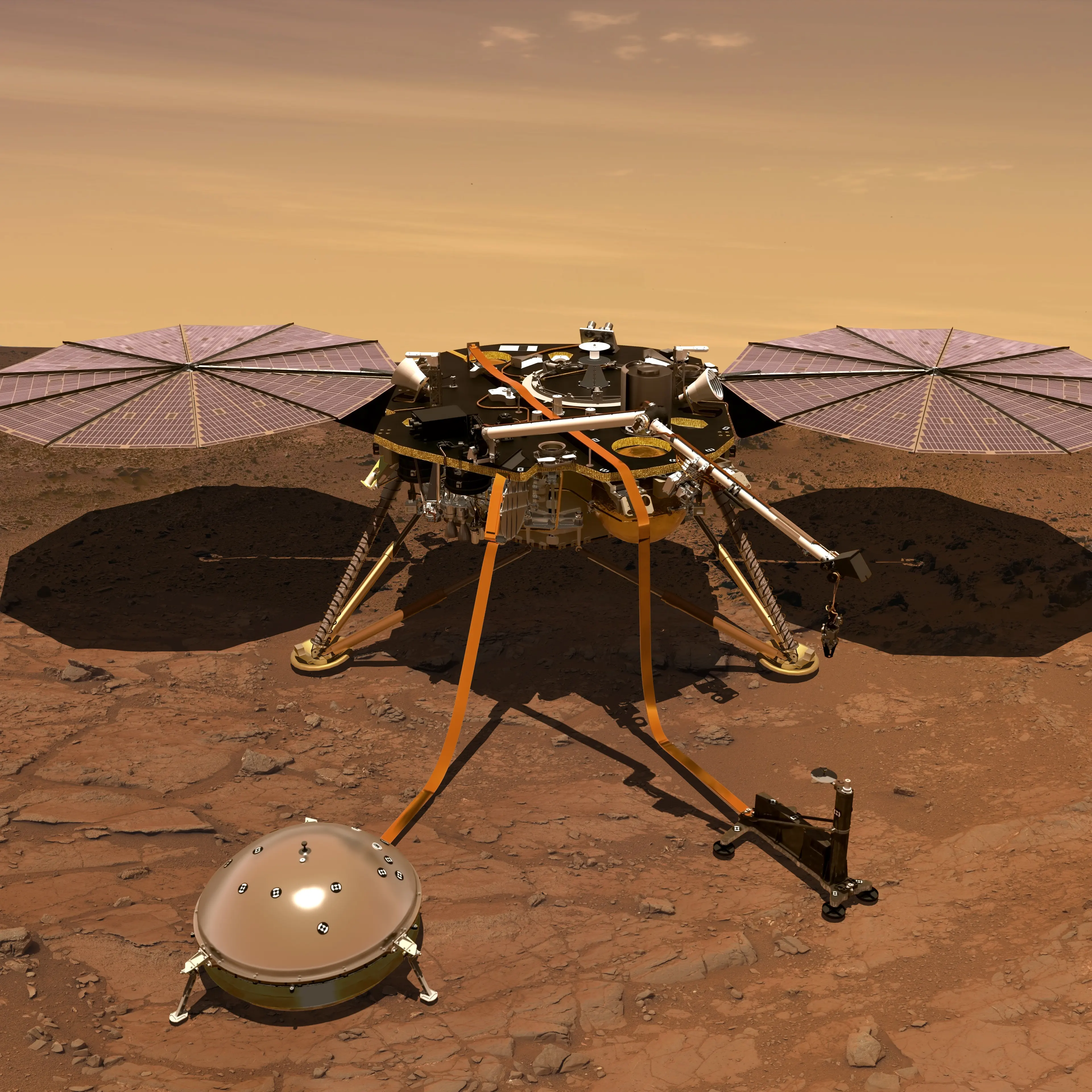 An artist's rendering of the InSight lander on Mars's Elysium Planitia