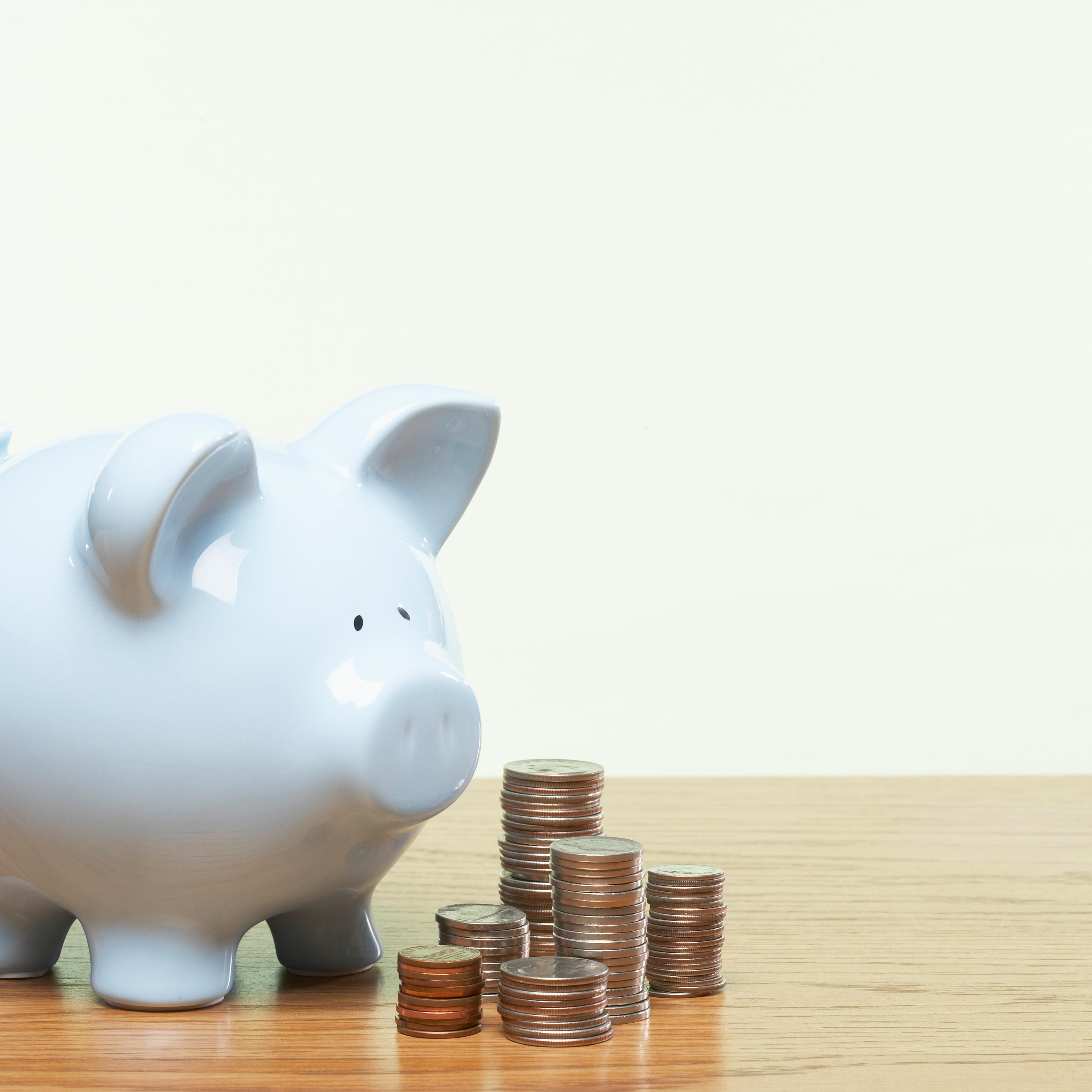 Piggy Bank and Stack of Coins