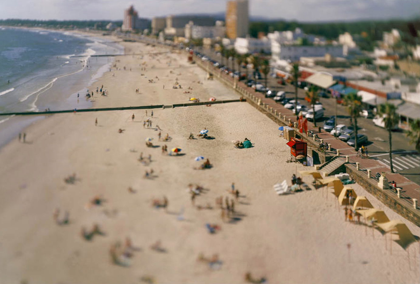 Coastline
