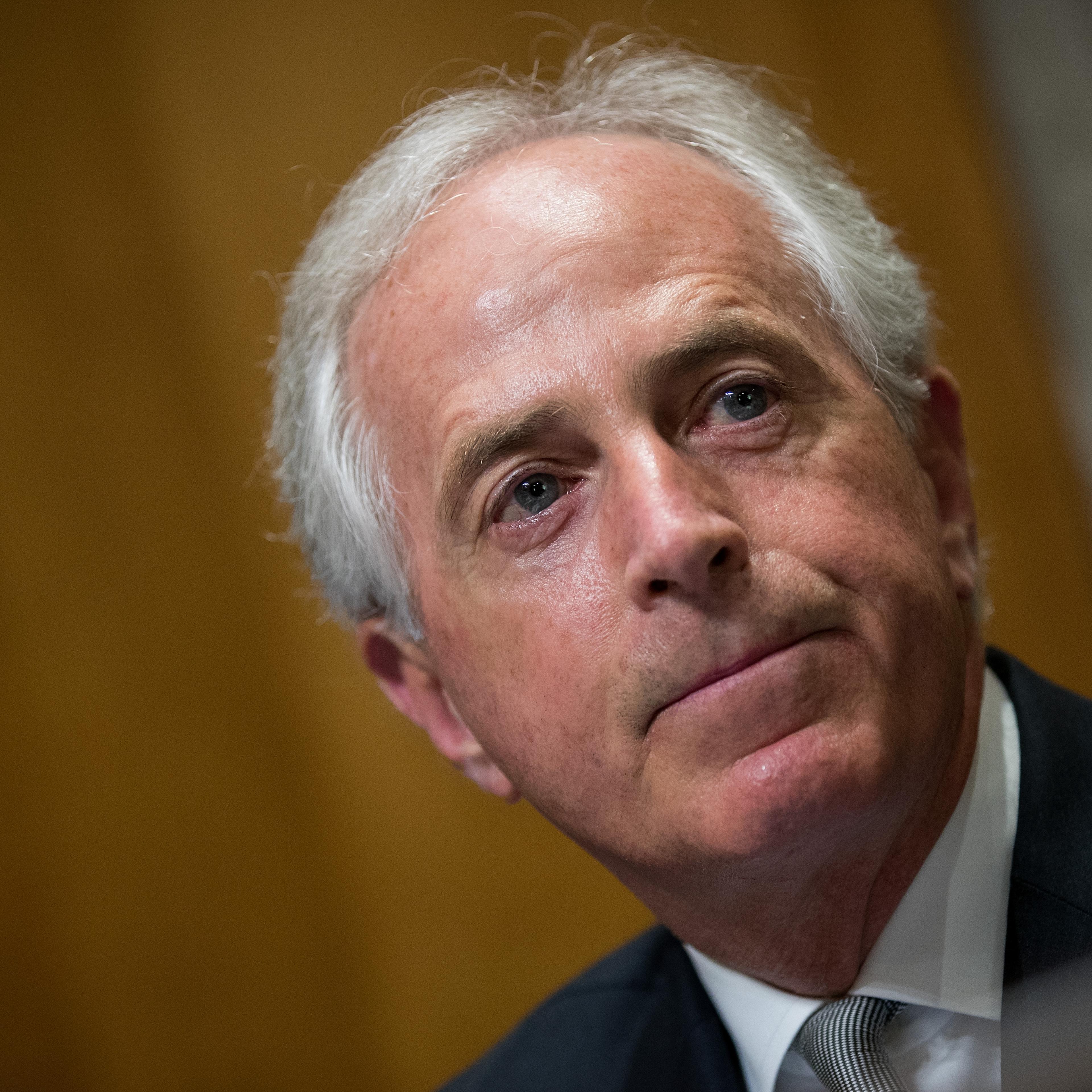 Tillerson And Mattis Testify At Senate Hearing On Authorization Of Use Of Force