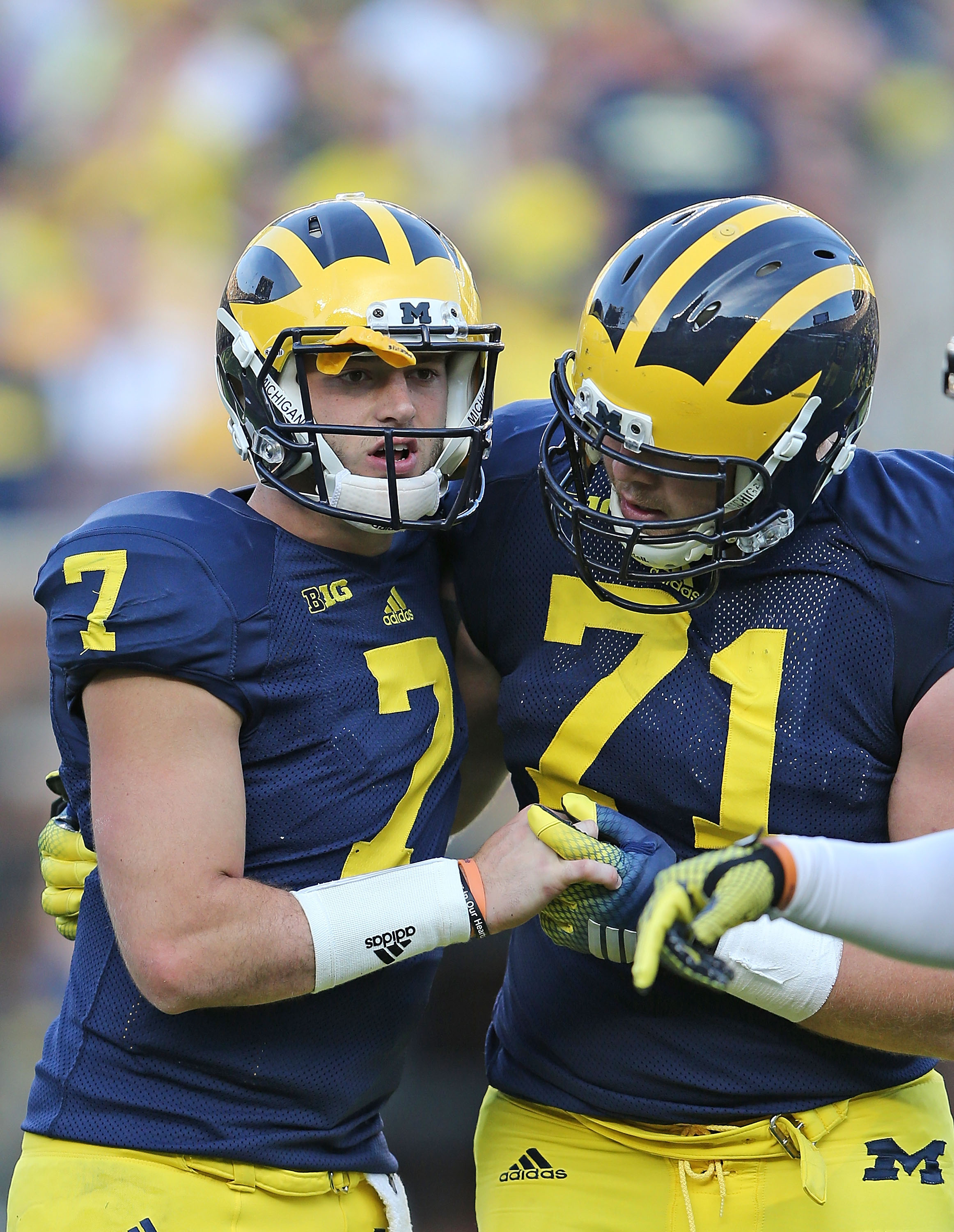Minnesota v Michigan