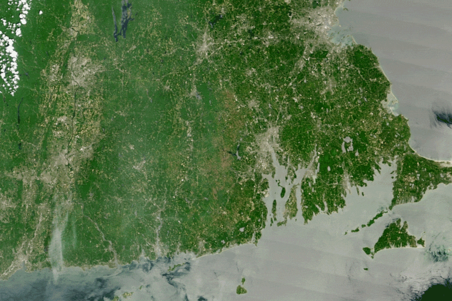 An outbreak of gypsy moth caterpillars was so severe that defoliation was apparent in satellite imagery collected by NASA’s Aqua and Terra satellites on May 25, 2016 and June 26, 2016. Healthy forests appear green, while defoliated areas have a gray-brow