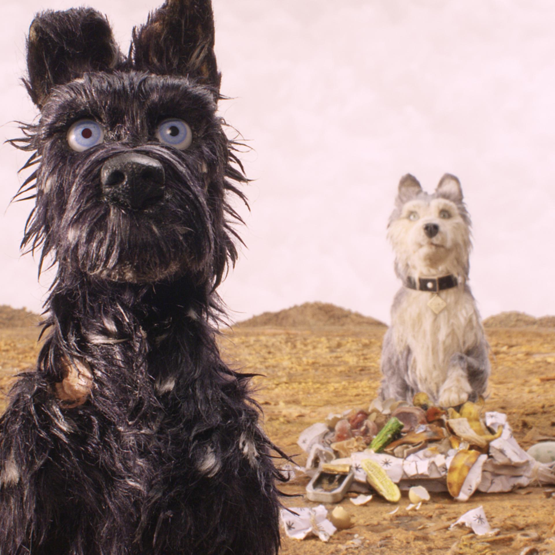 Bill Murray as 'Boss,' Jeff Goldblum as 'Duke,' Edward Norton as 'Rex,' Bob Balaban as 'King,' Liev Shreiber as 'Spots,' Harvey Keitel as 'Gondo,' Koyu Rankin as 'Atari Kobayashi' and Bryan Cranston as 'Chief' in Wes Anderson's Isle of Dogs.