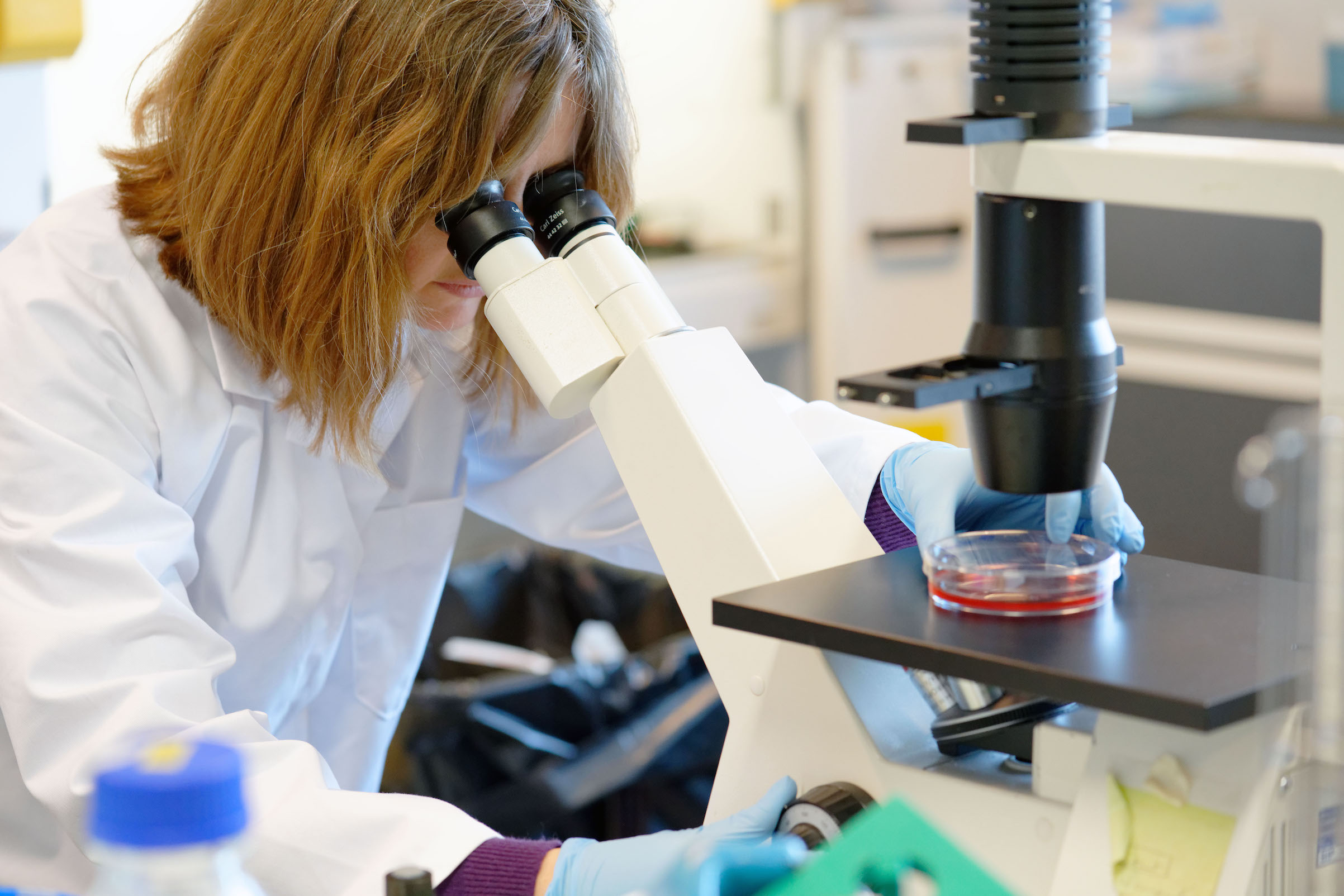 Pasteur Institute Of Lille At Forefront Of Coronavirus Research