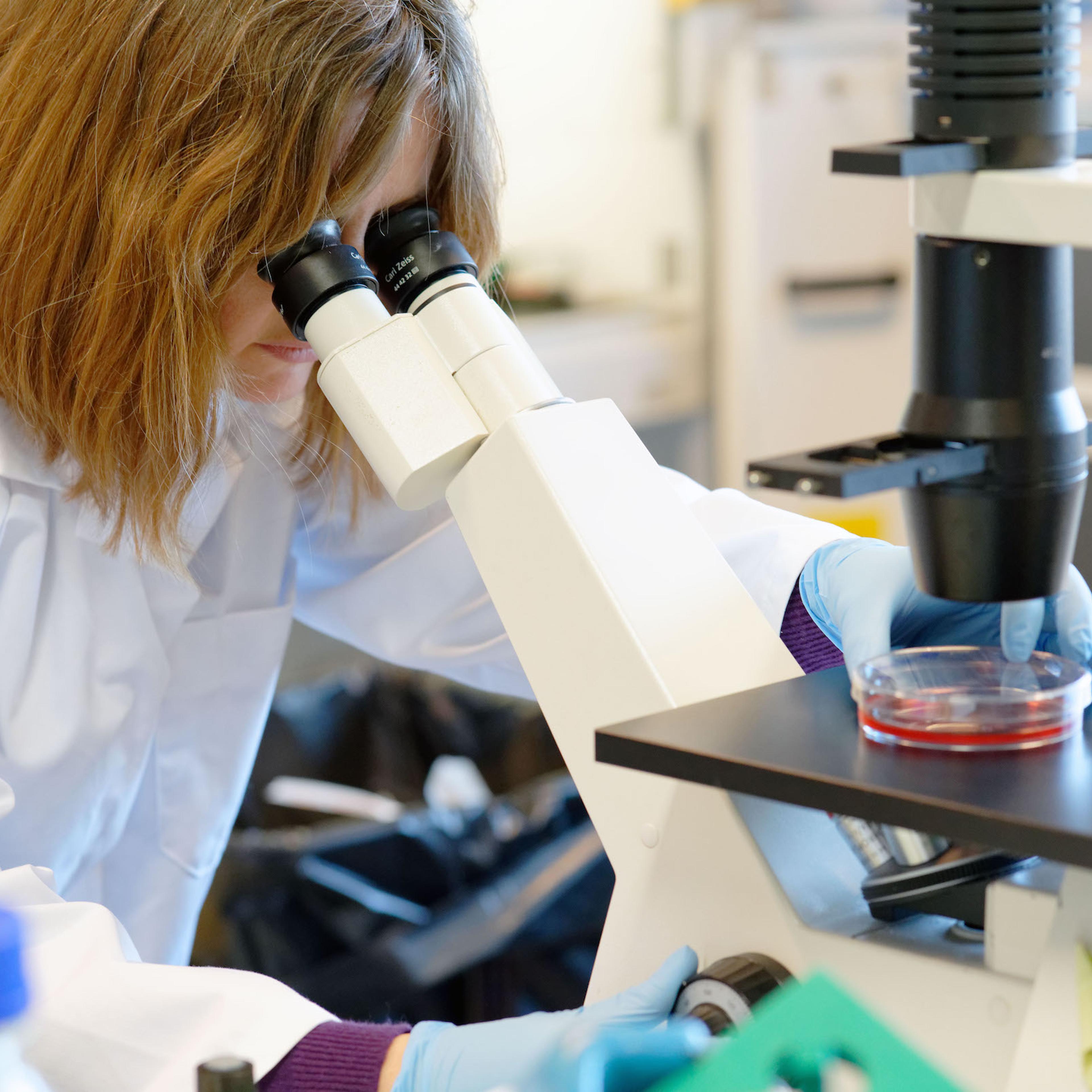 Pasteur Institute Of Lille At Forefront Of Coronavirus Research