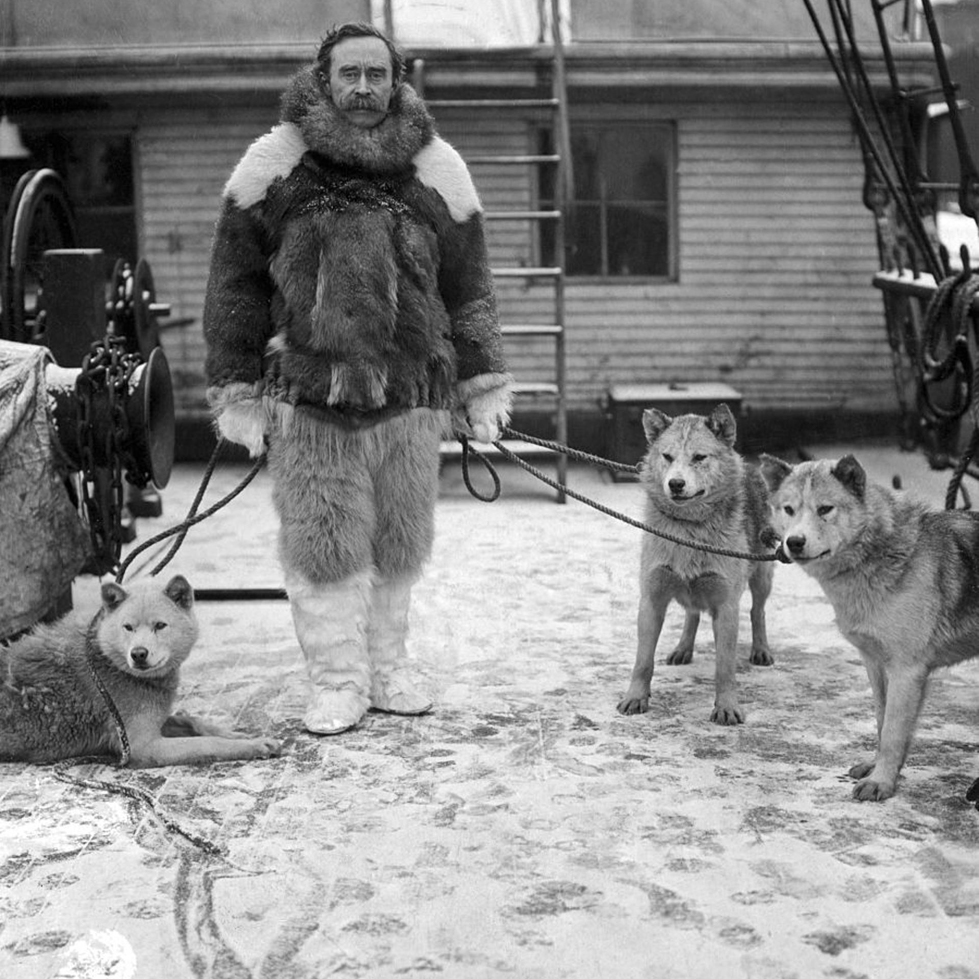 Robert E. Peary with Sled Dogs