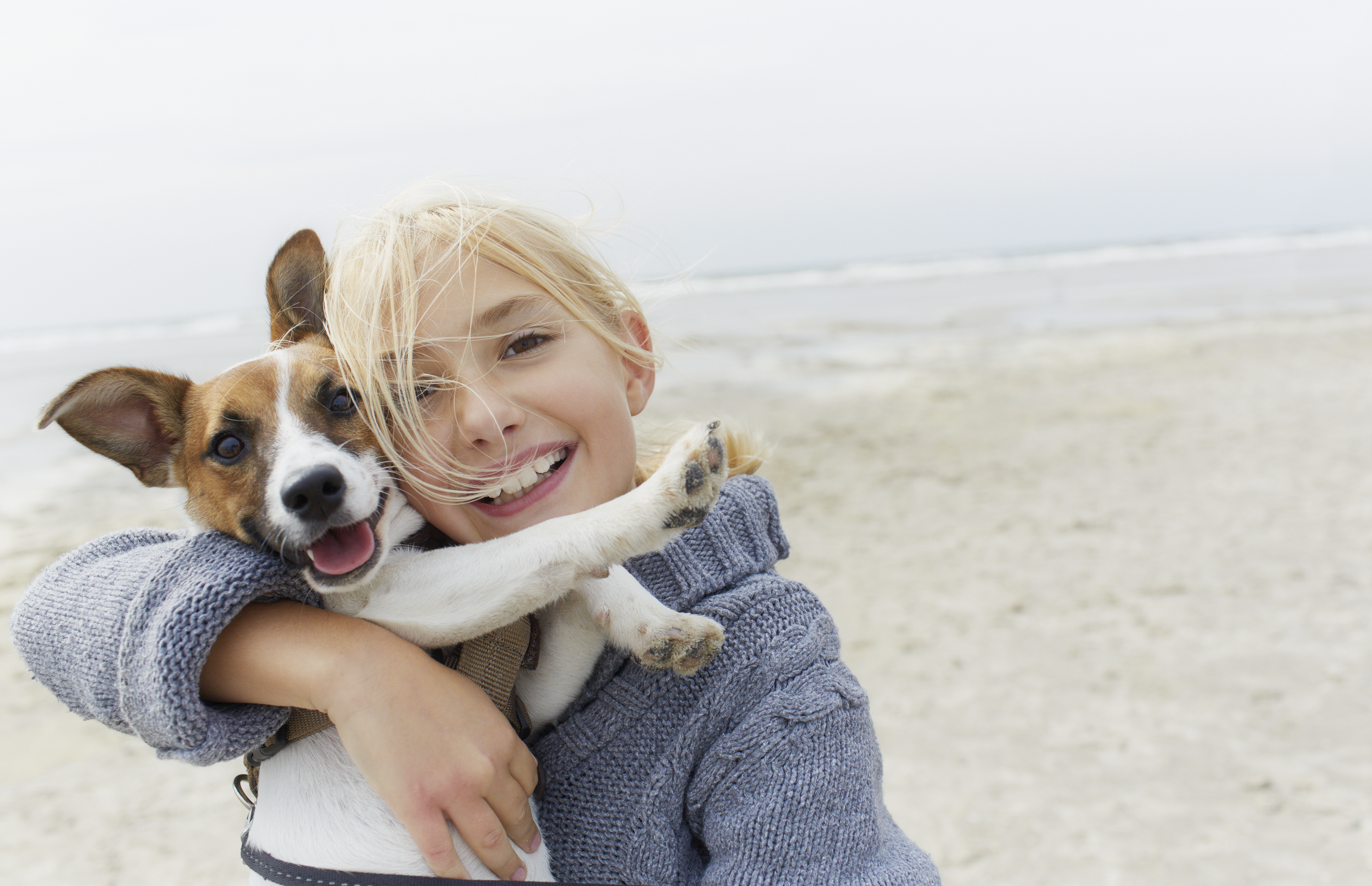 Dogs
