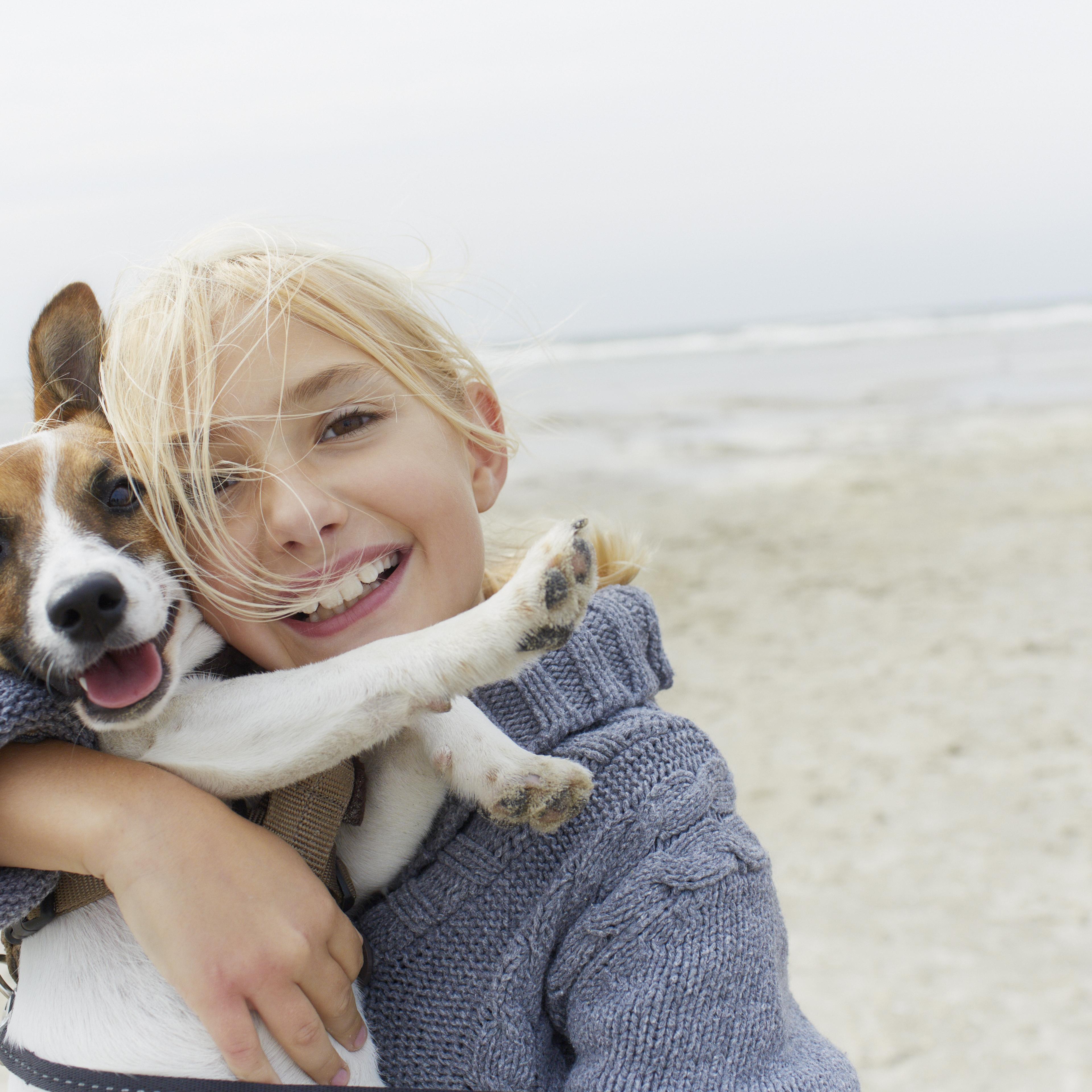 Dogs