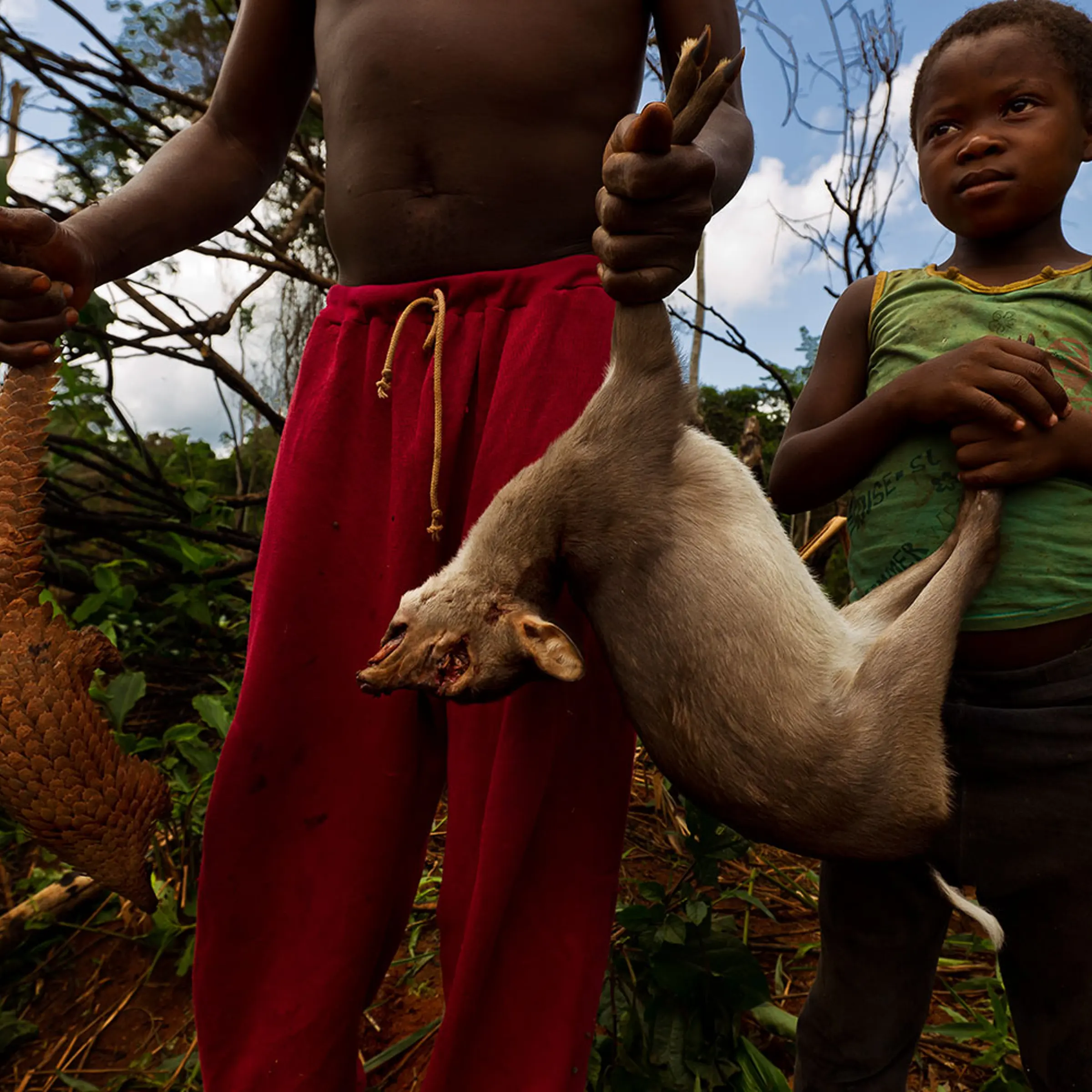 Locals display bushmeat sold and purchased all along the logging roads of Cameroon on June 6, 2010. Killing and selling forest animals for food is not illegal at this time but as the logging industry creates roads and towns, the pressure on bushmeat may lead to the rapid eradication of wildlife.