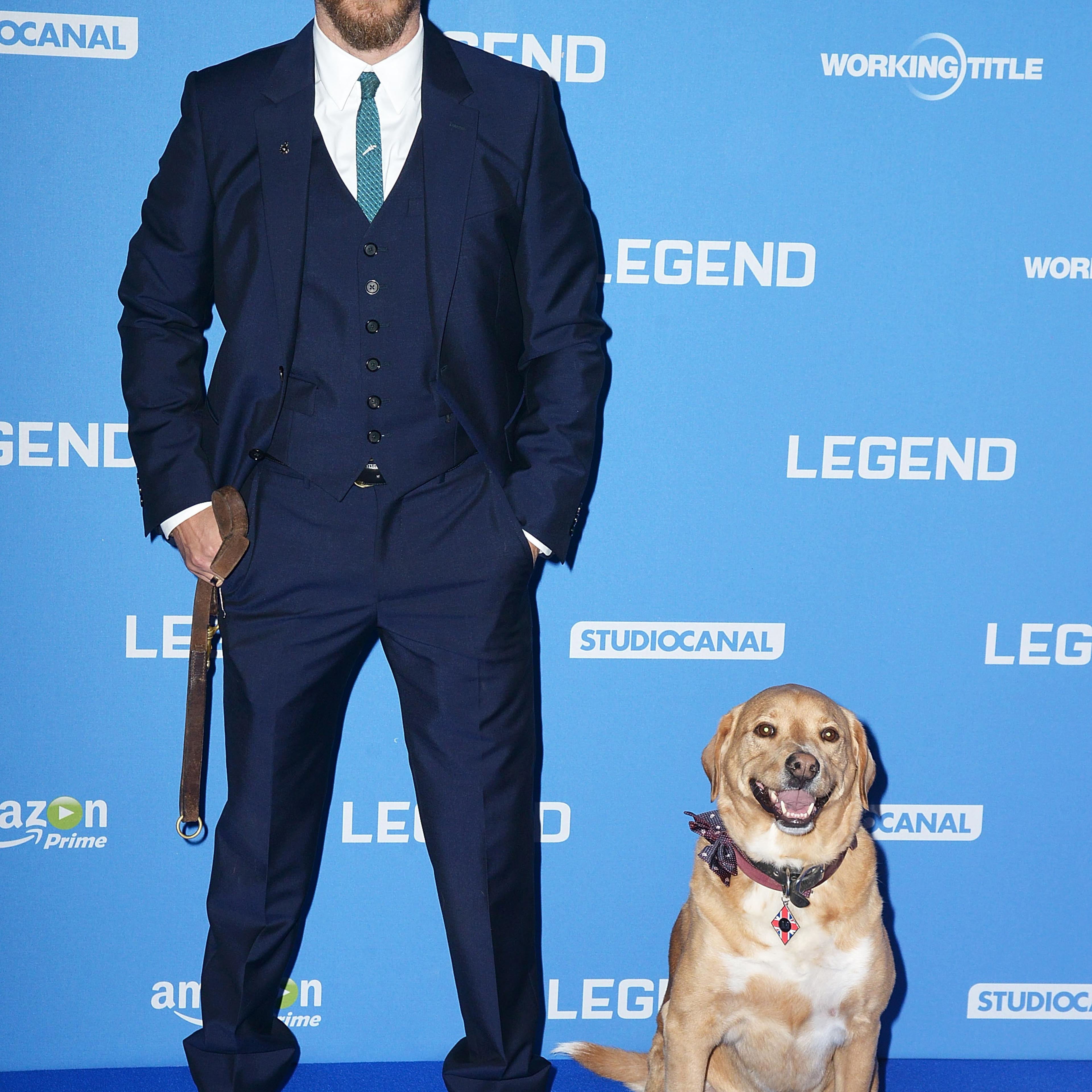 Tom Hardy and dog 'Woody' attend the U.K. Premiere of "Legend" at Odeon Leicester Square on September 3, 2015 in London, England.