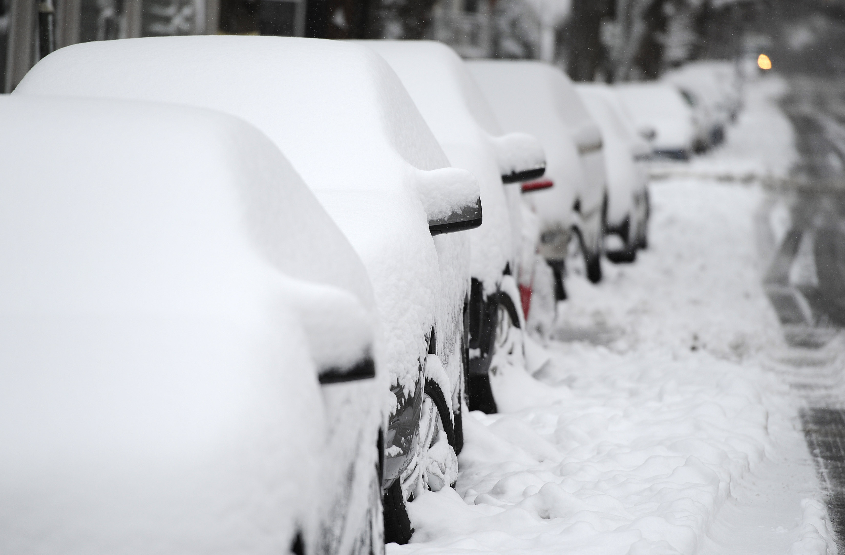Snow feature - Alexandria, VA
