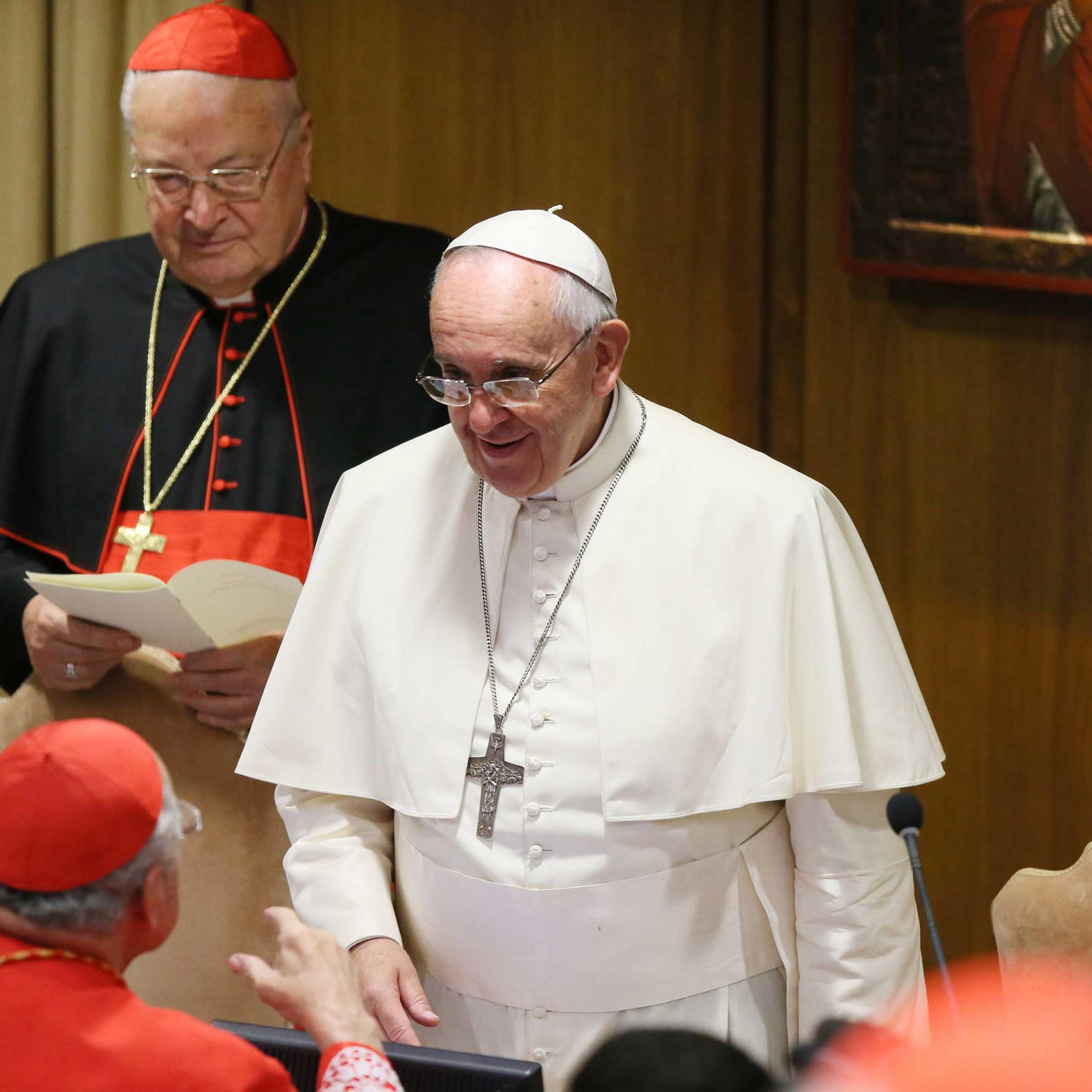Pope Francis Leads Ordinary Public Consistory