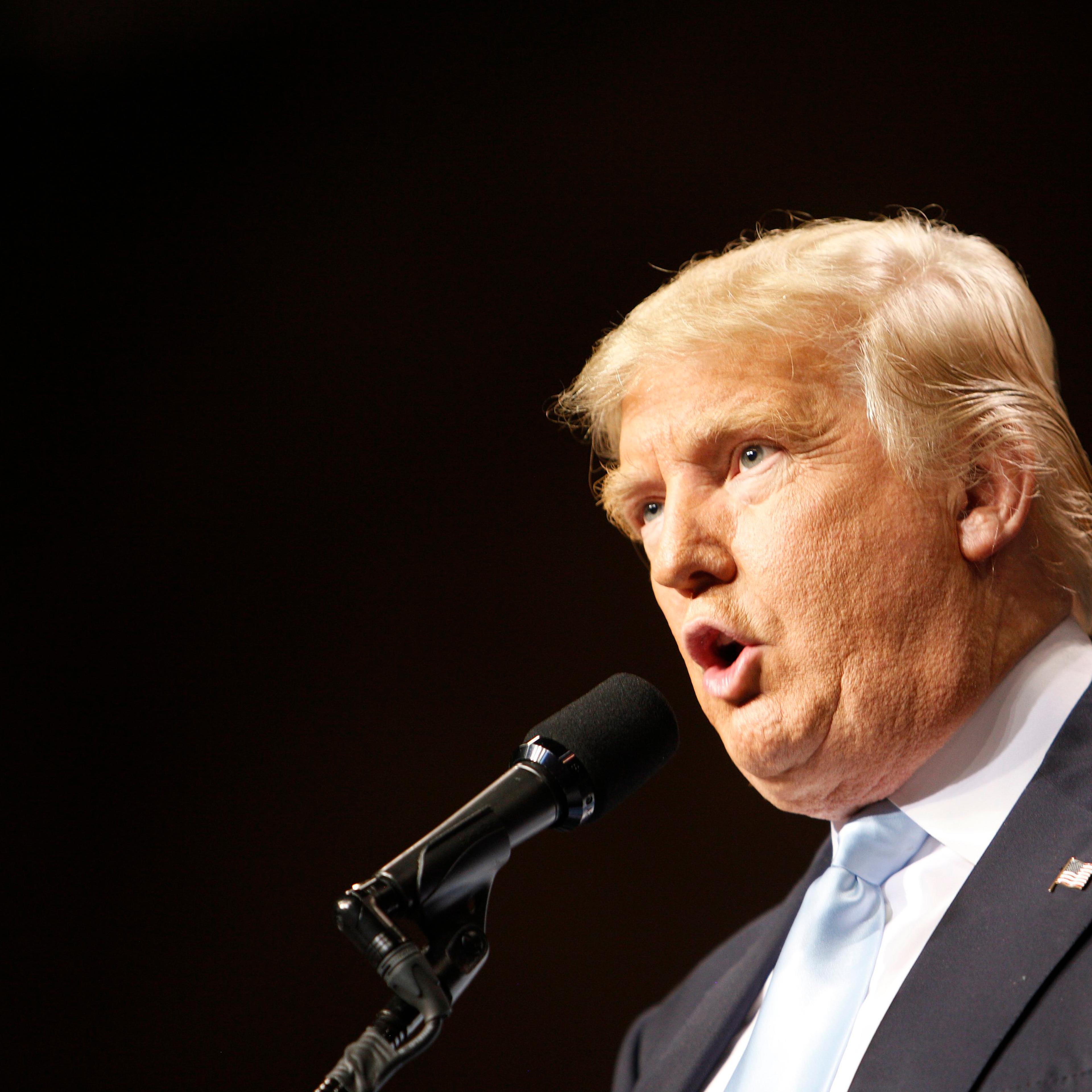 U.S. Republican presidential candidate Donald Trump speaks at a campaign rally in Fayetteville, North Carolina