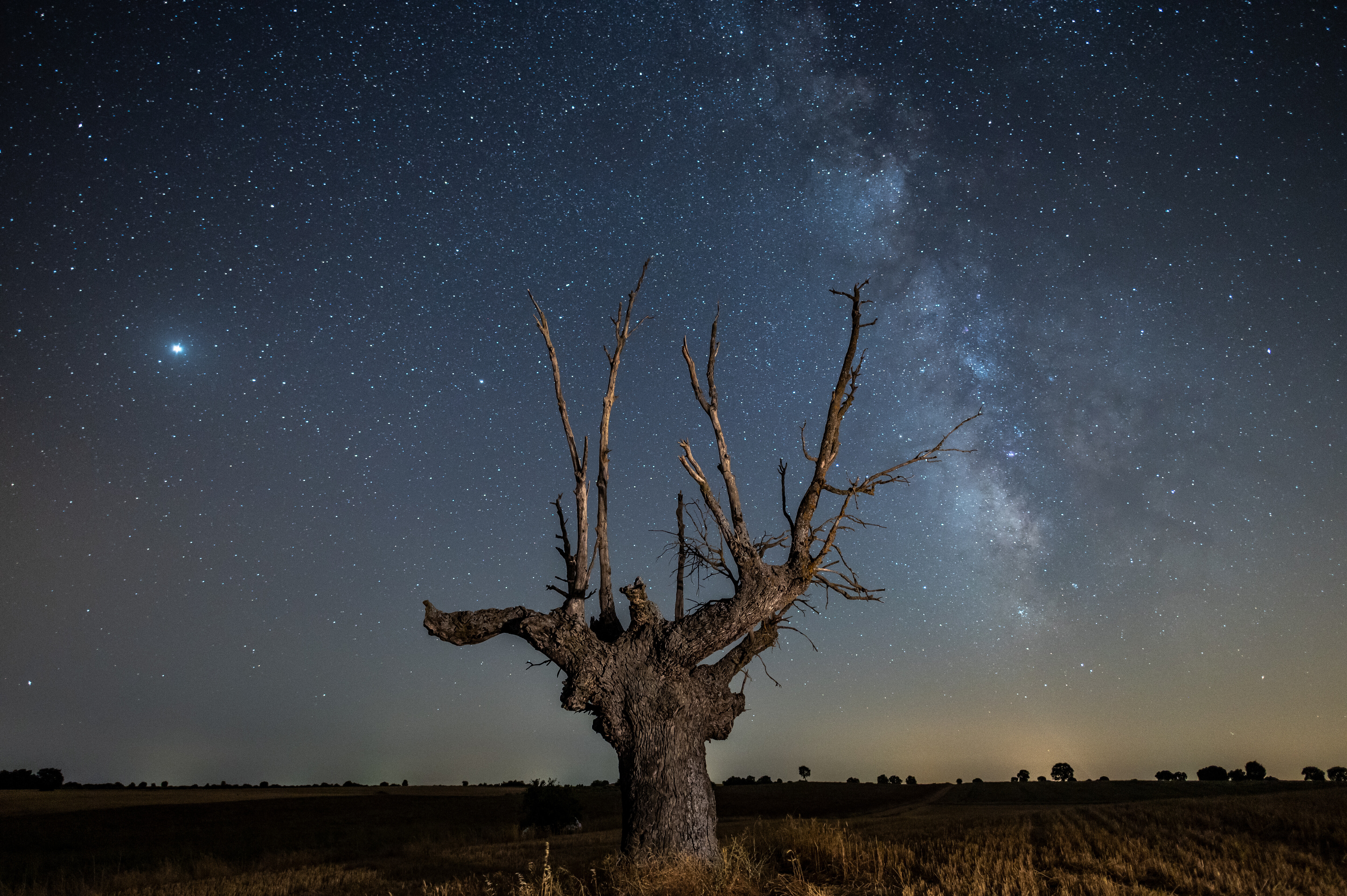 The Milky Way, Jupiter and Saturn (brightest spots in the