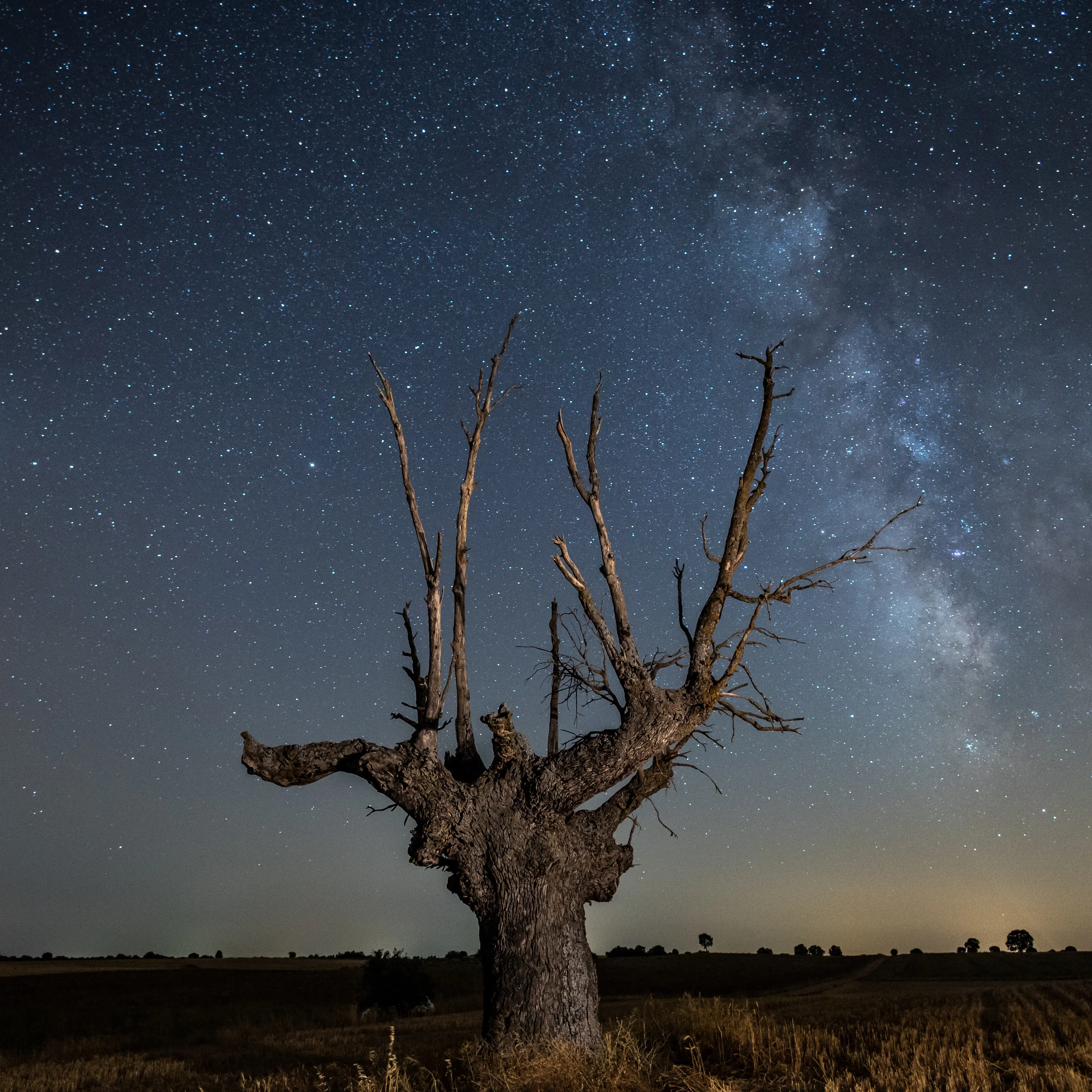 The Milky Way, Jupiter and Saturn (brightest spots in the