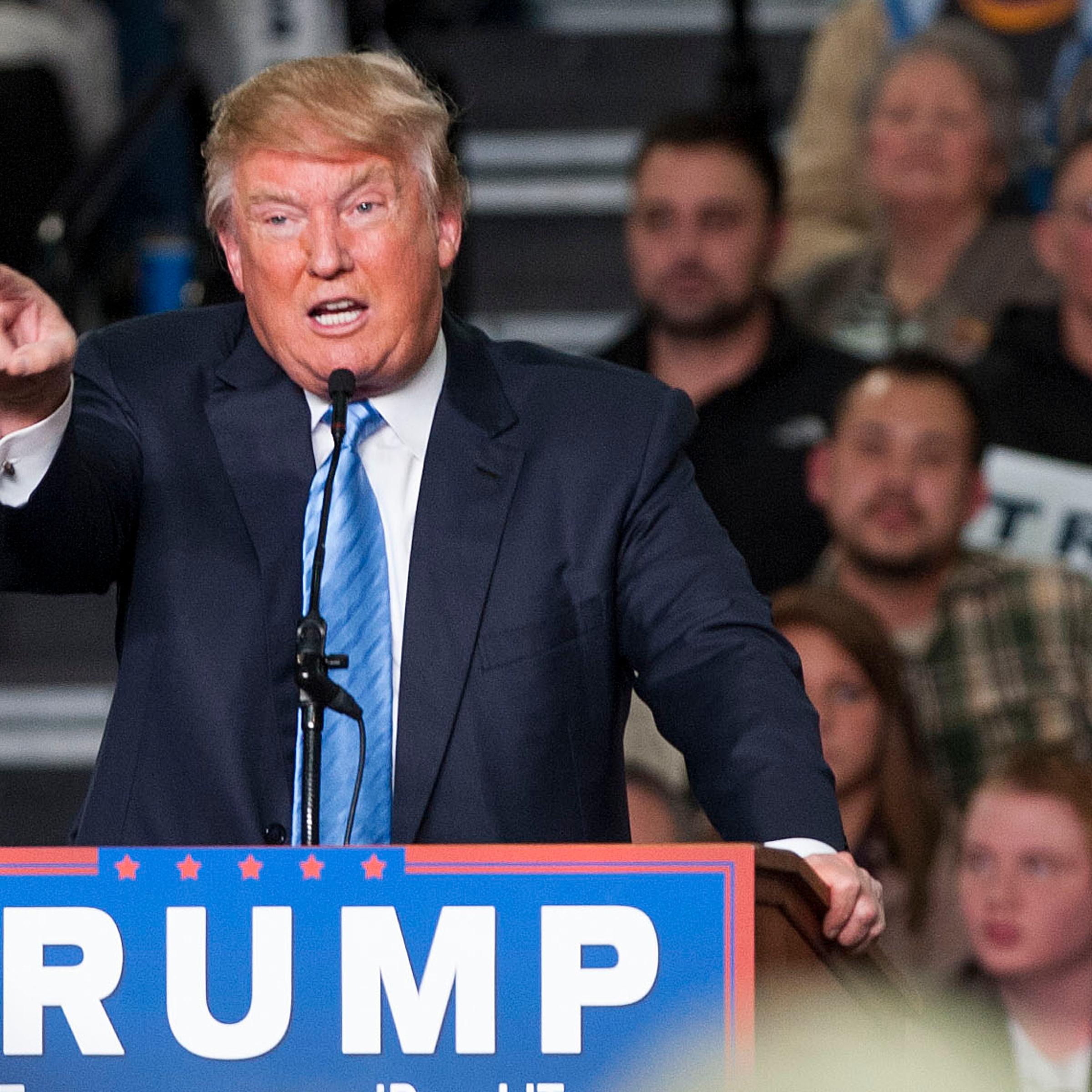 Republican presidential candidate Donald Trump addresses supporters during a campaign rally in Columbus, Ohio on Nov. 23, 2015