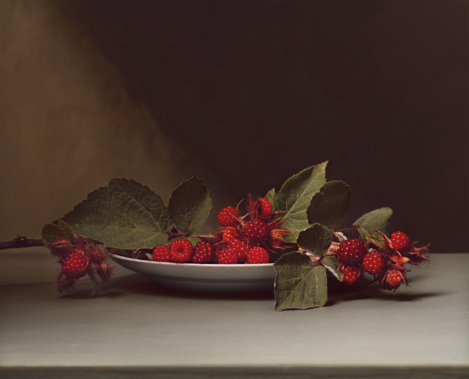 Plate 30 - Wild Raspberries