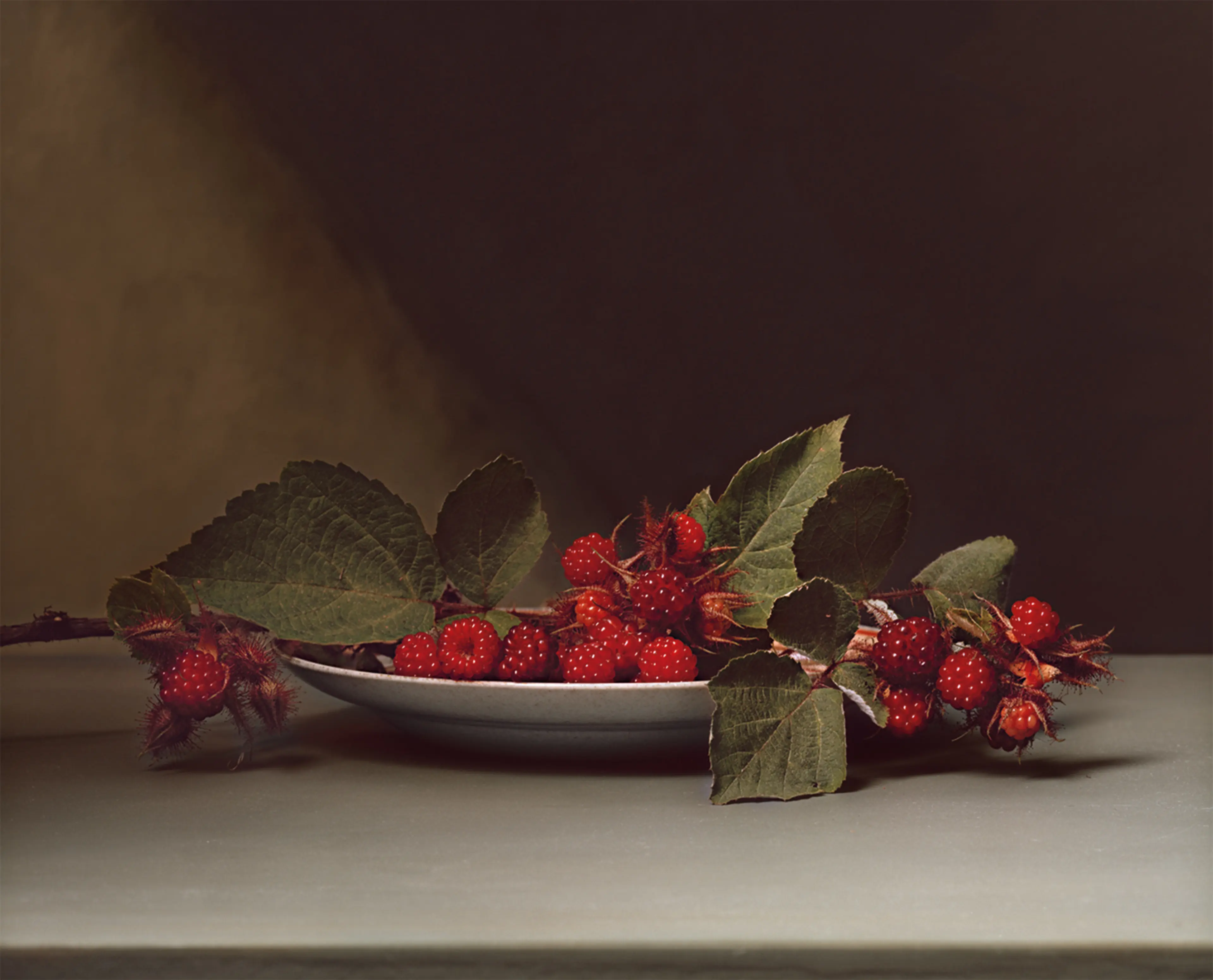 Plate 30 - Wild Raspberries