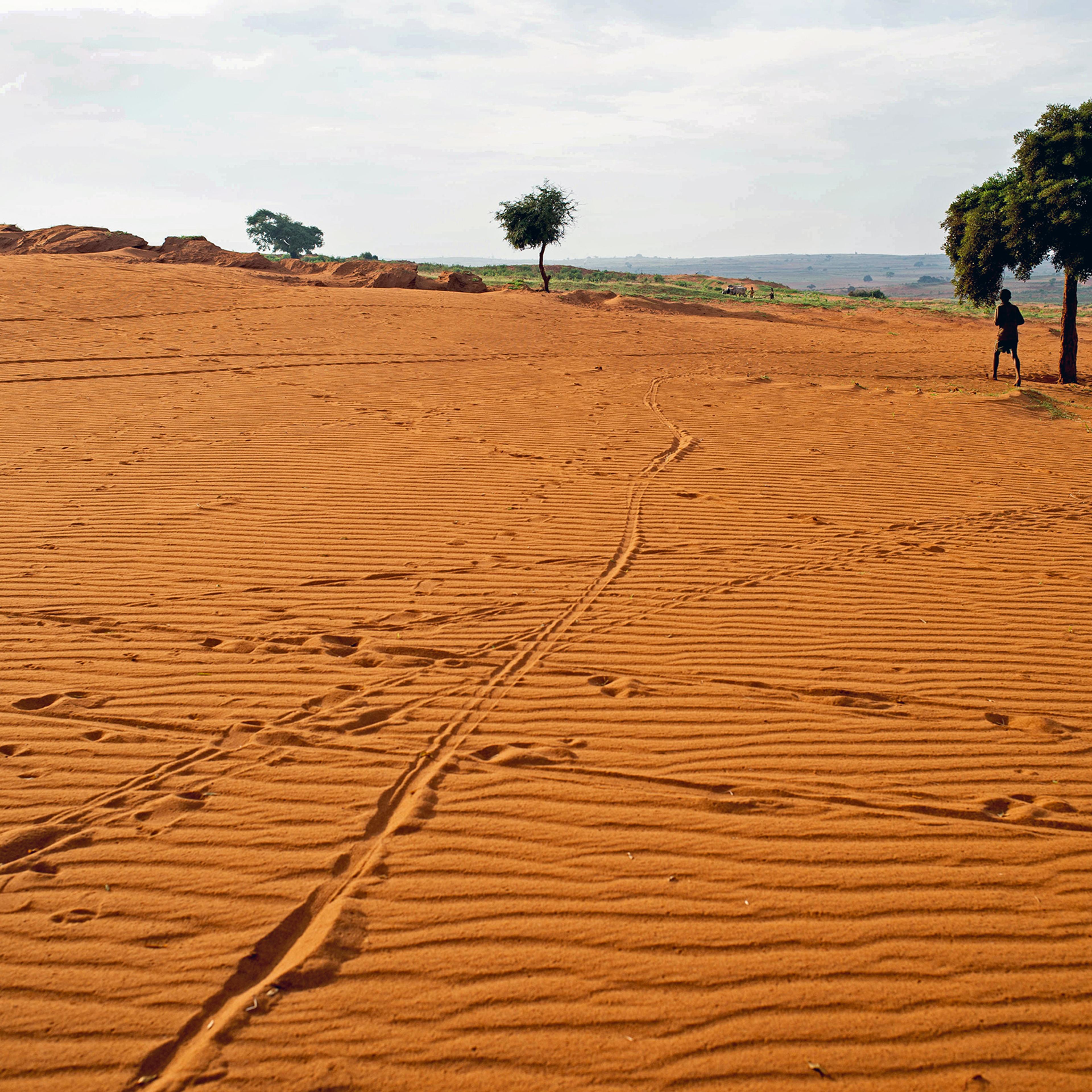 Cropland is covered by sand in Betsimeda, Maroalomainty commune, Ambovombe district