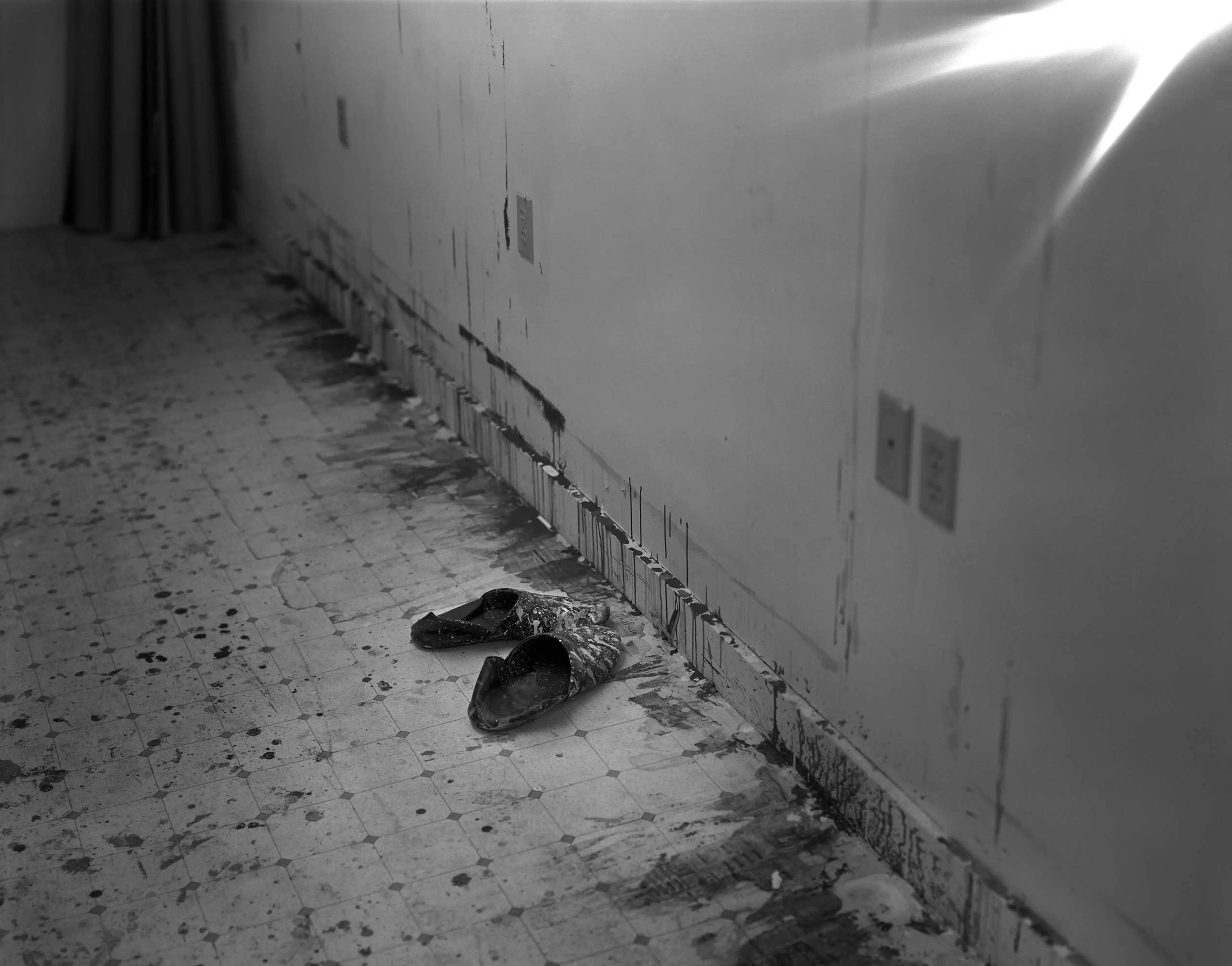 Sally Mann's Remembered Light, Gagosian Gallery, N.Y.: Sept. 22 - Oct. 29 (Caption: Untitled from Slippers and Flare, 2005)