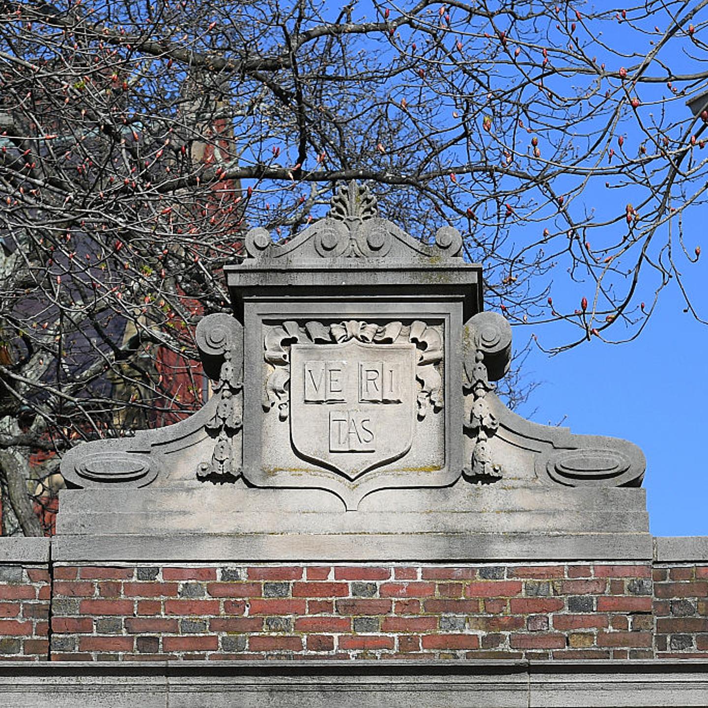 A general view of Harvard University's "Veritas" shield on The Class of 1875 Gate in Harvard Yard Harvard University in Cambridge, Mass., on April 15, 2025.