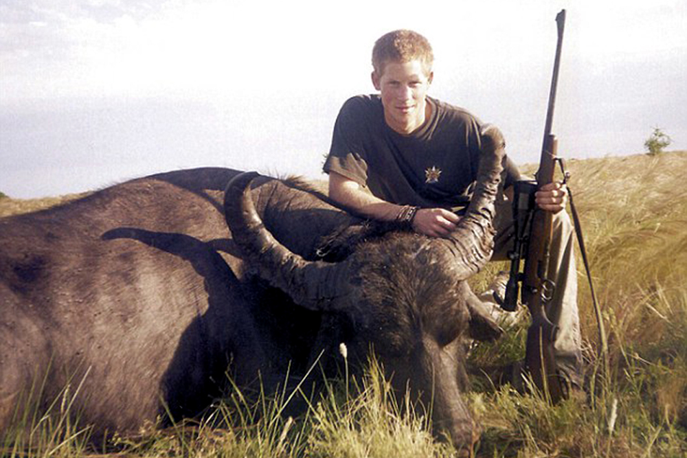 Prince Harry crouches over a water buffalo he shot and killed in South America in 2004.