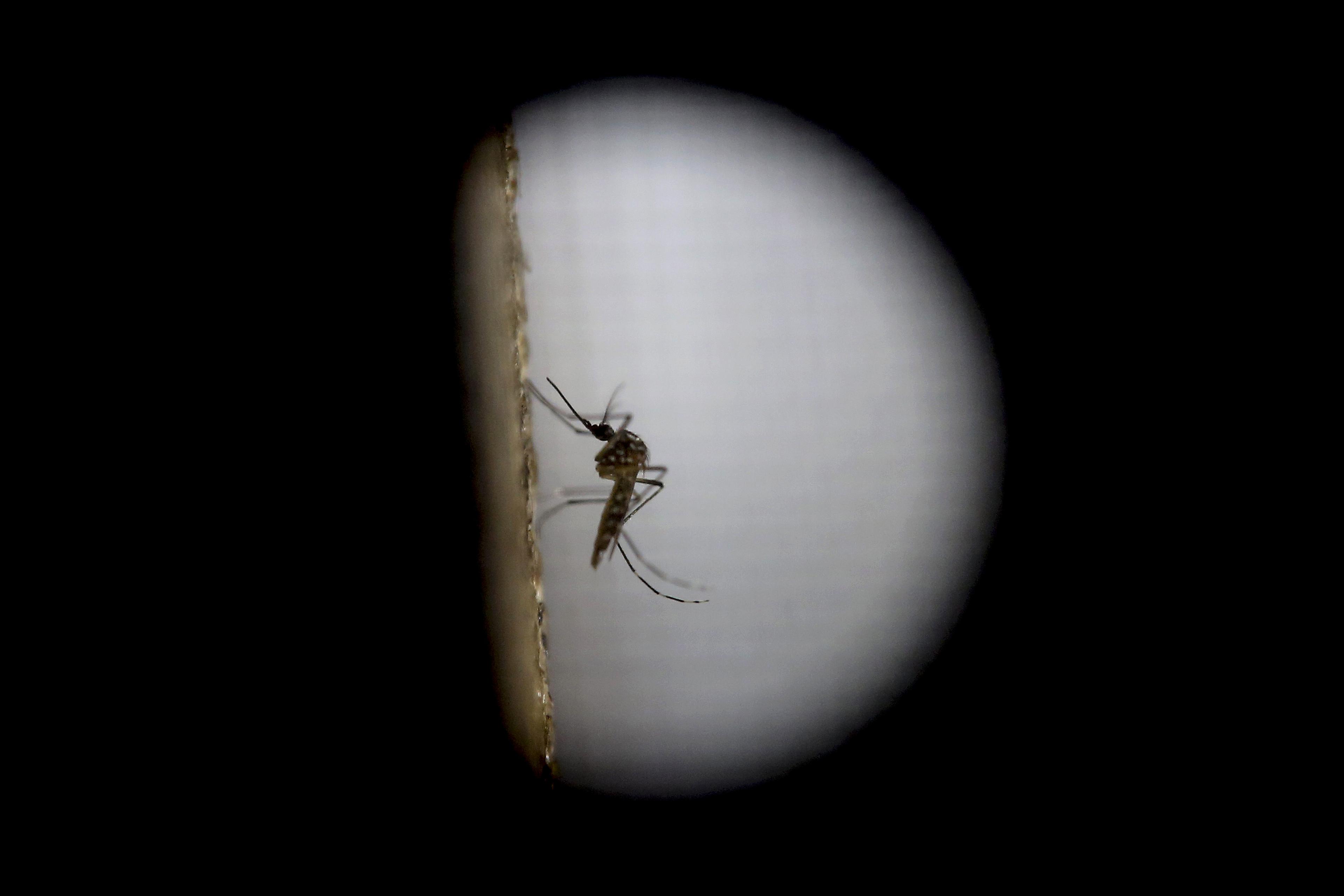 Lab Testing & Fumigation Operations As Guatemala Fights Spread Of Zika Virus