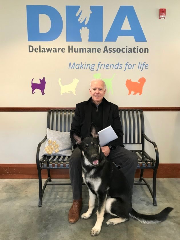 Joe Biden poses with his newly adopted dog, Major. 